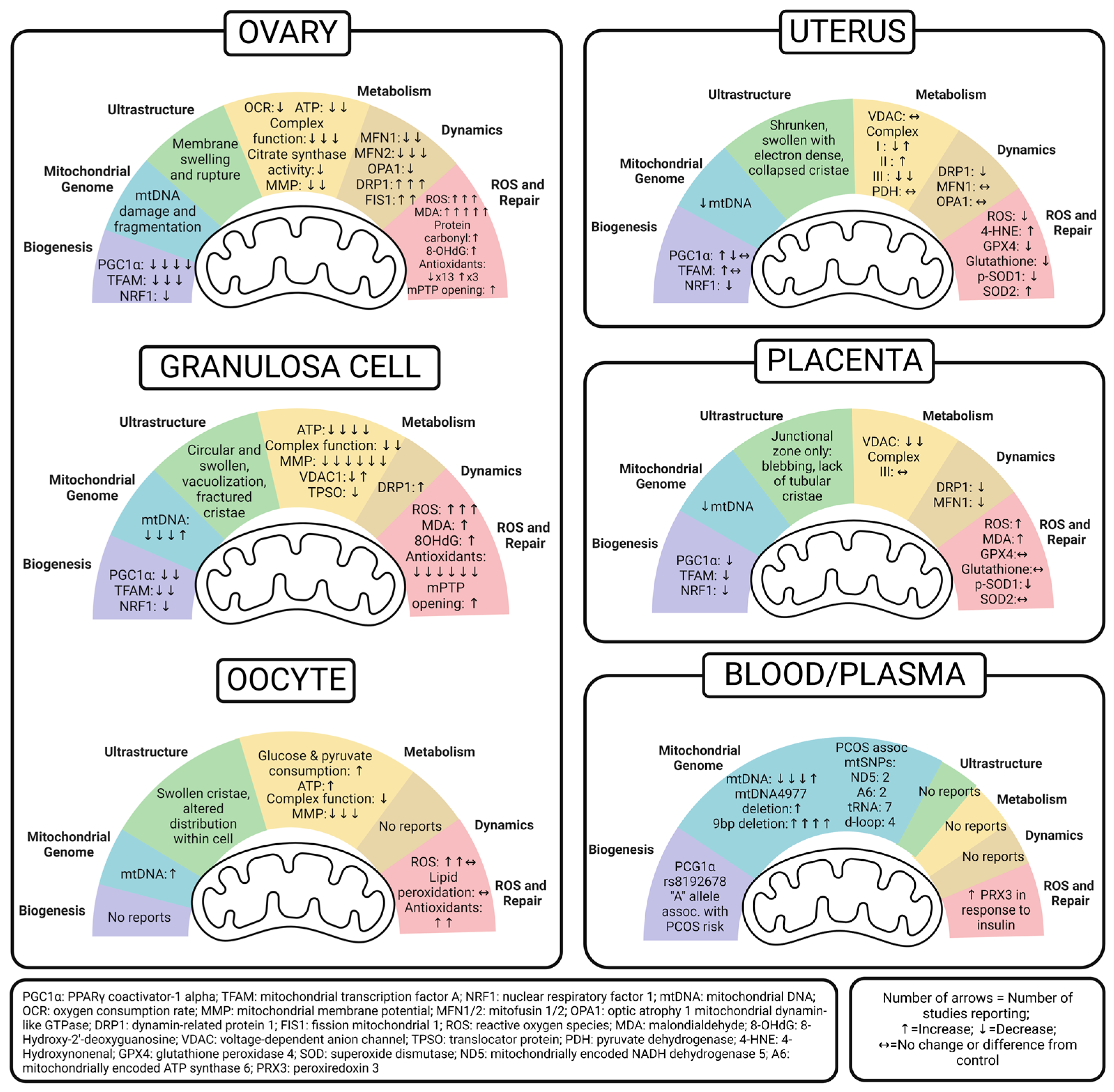 Ijms 24 13123 g002 Ijms 24 13123 g002