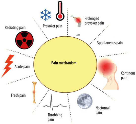 Involvement of Oxidative Stress and Nutrition in the Anatomy of