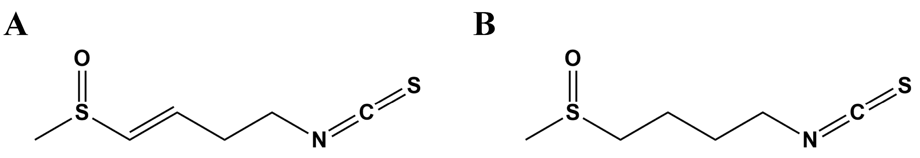 Ijms 24 13129 g001 Ijms 24 13129 g001