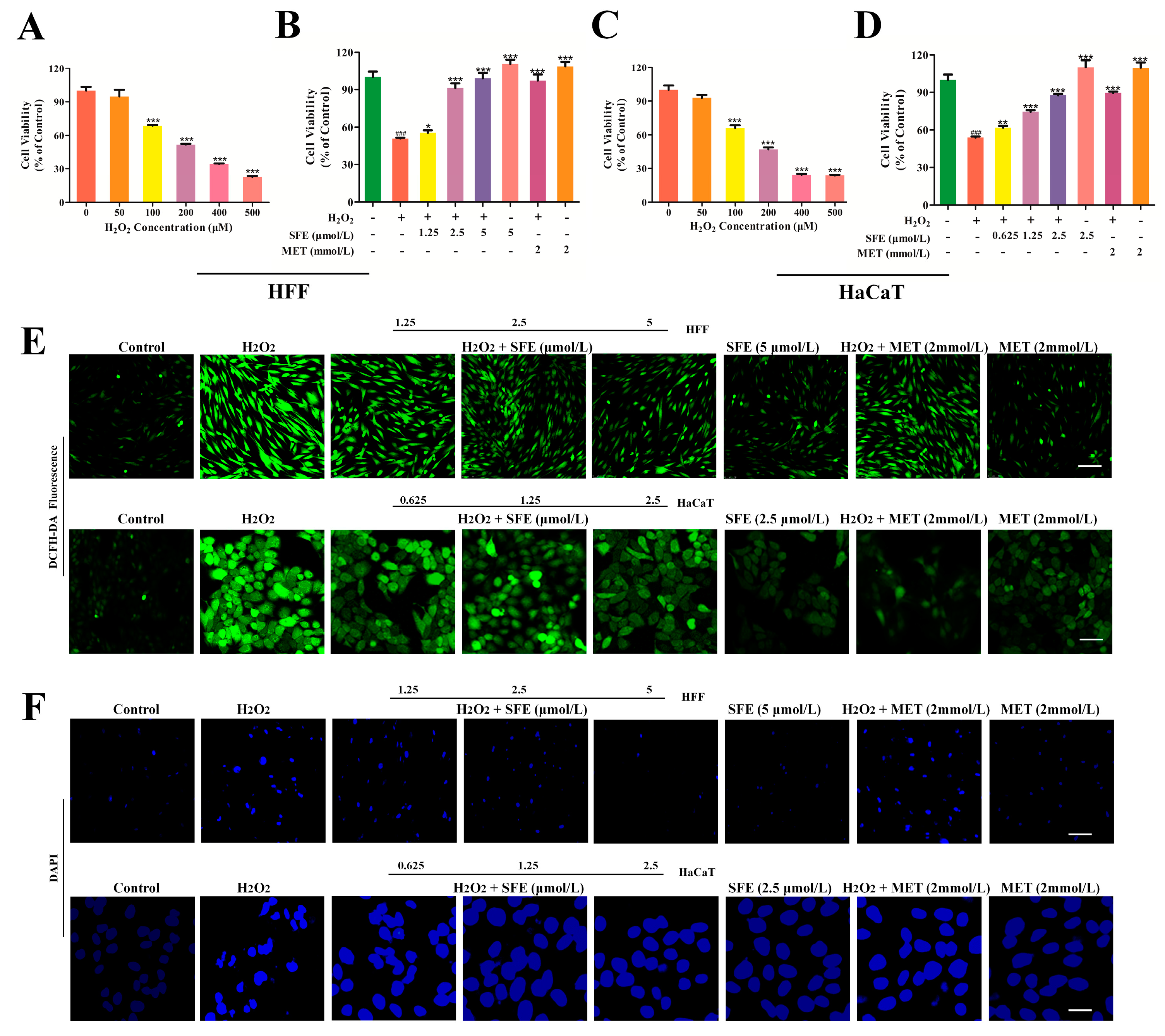 Ijms 24 13129 g002 Ijms 24 13129 g002