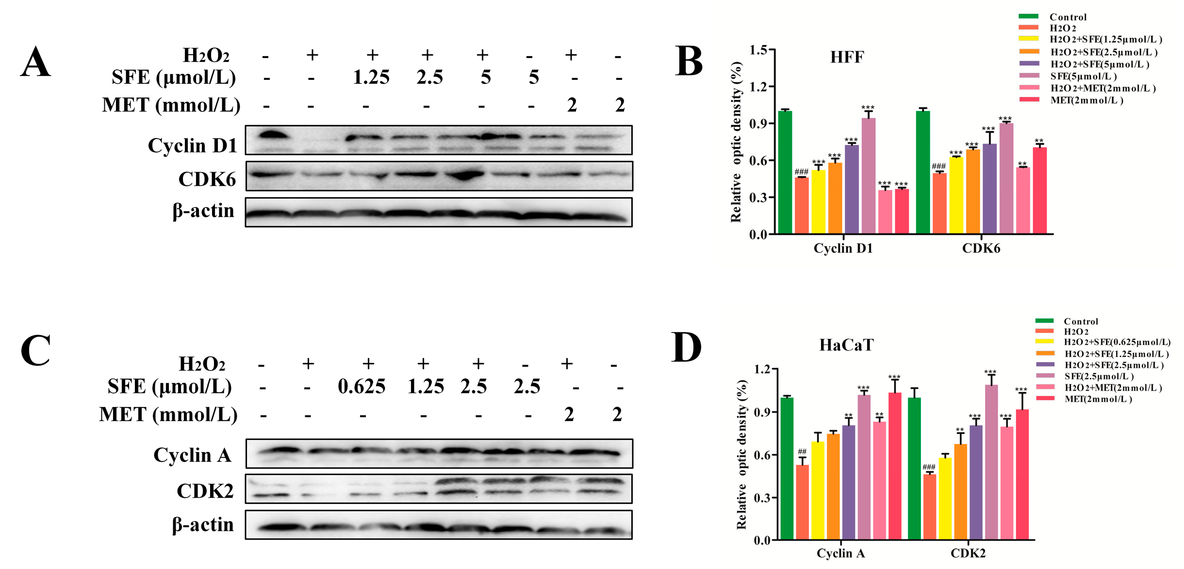 Ijms 24 13129 g007 Ijms 24 13129 g007