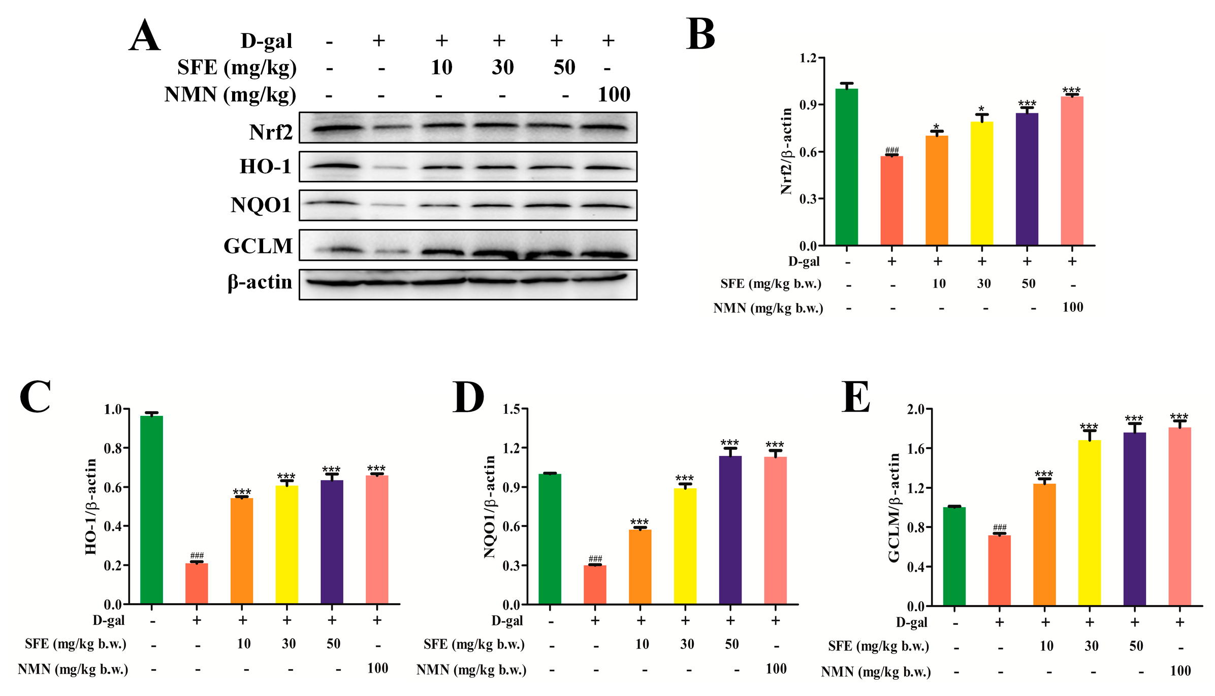 Ijms 24 13129 g009 Ijms 24 13129 g009