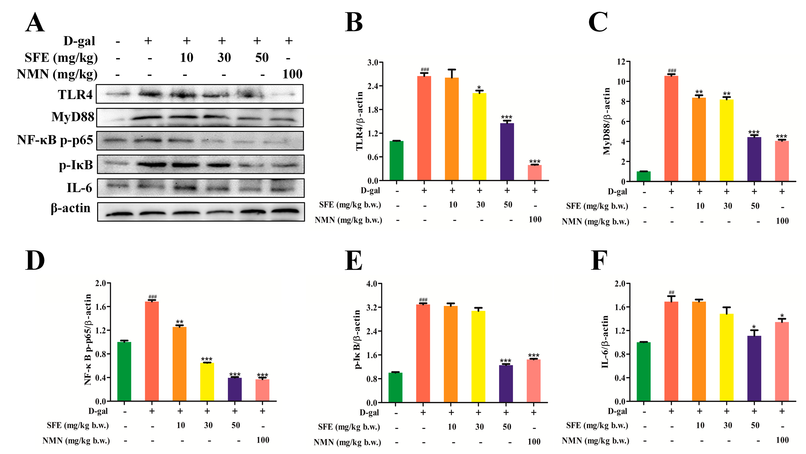 Ijms 24 13129 g011 Ijms 24 13129 g011