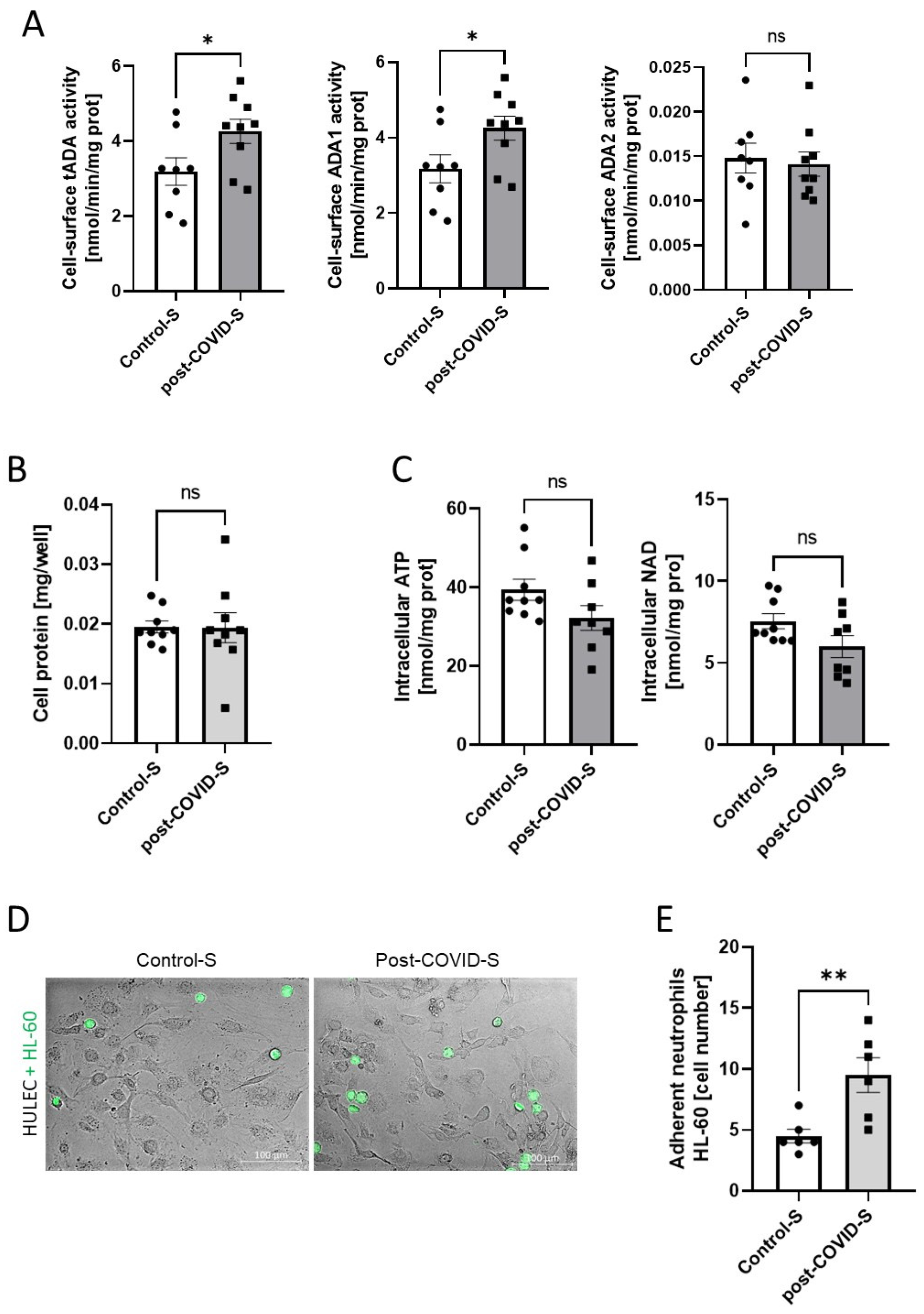 Ijms 24 13140 g007 Ijms 24 13140 g007