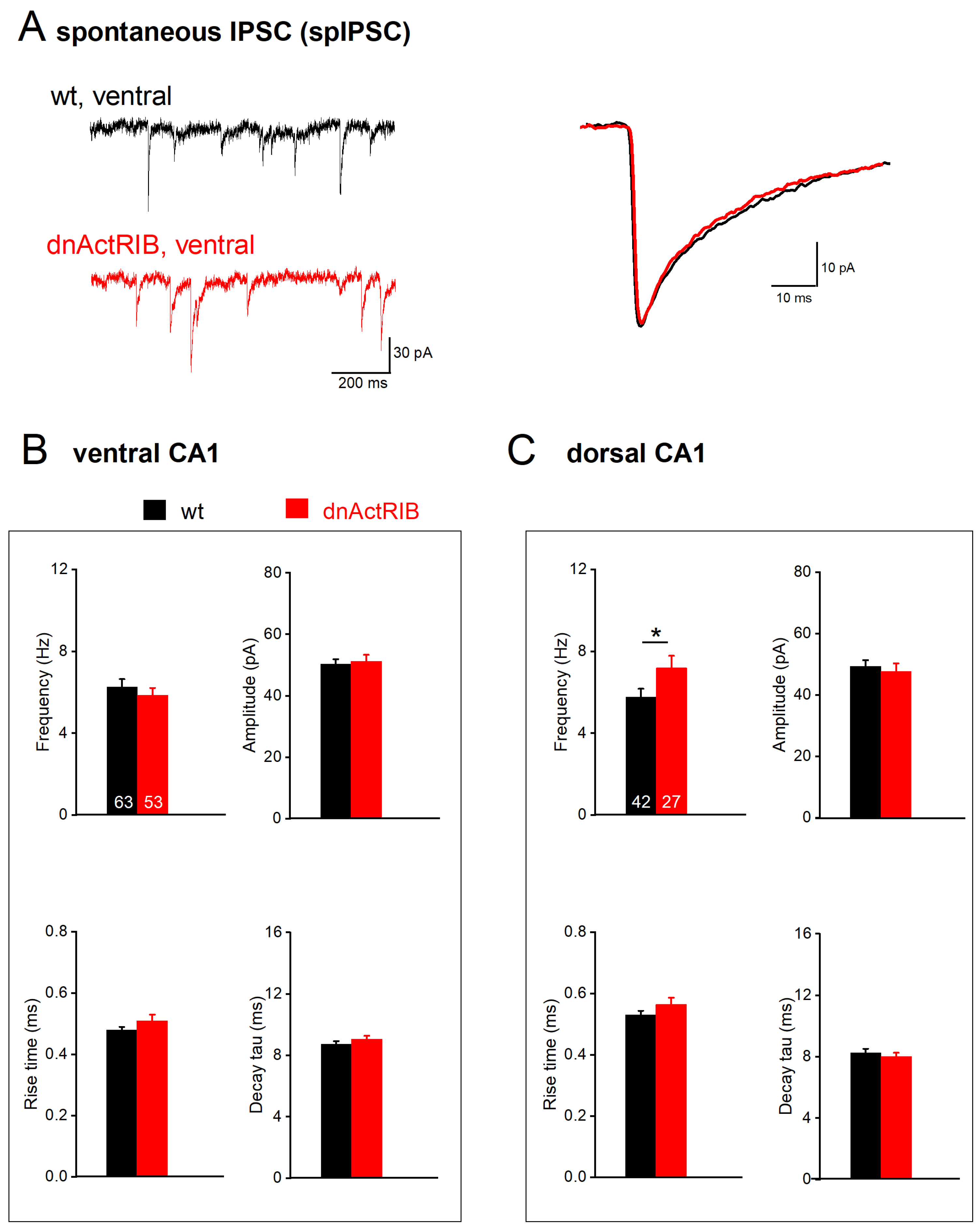 Ijms 24 13145 g003 Ijms 24 13145 g003