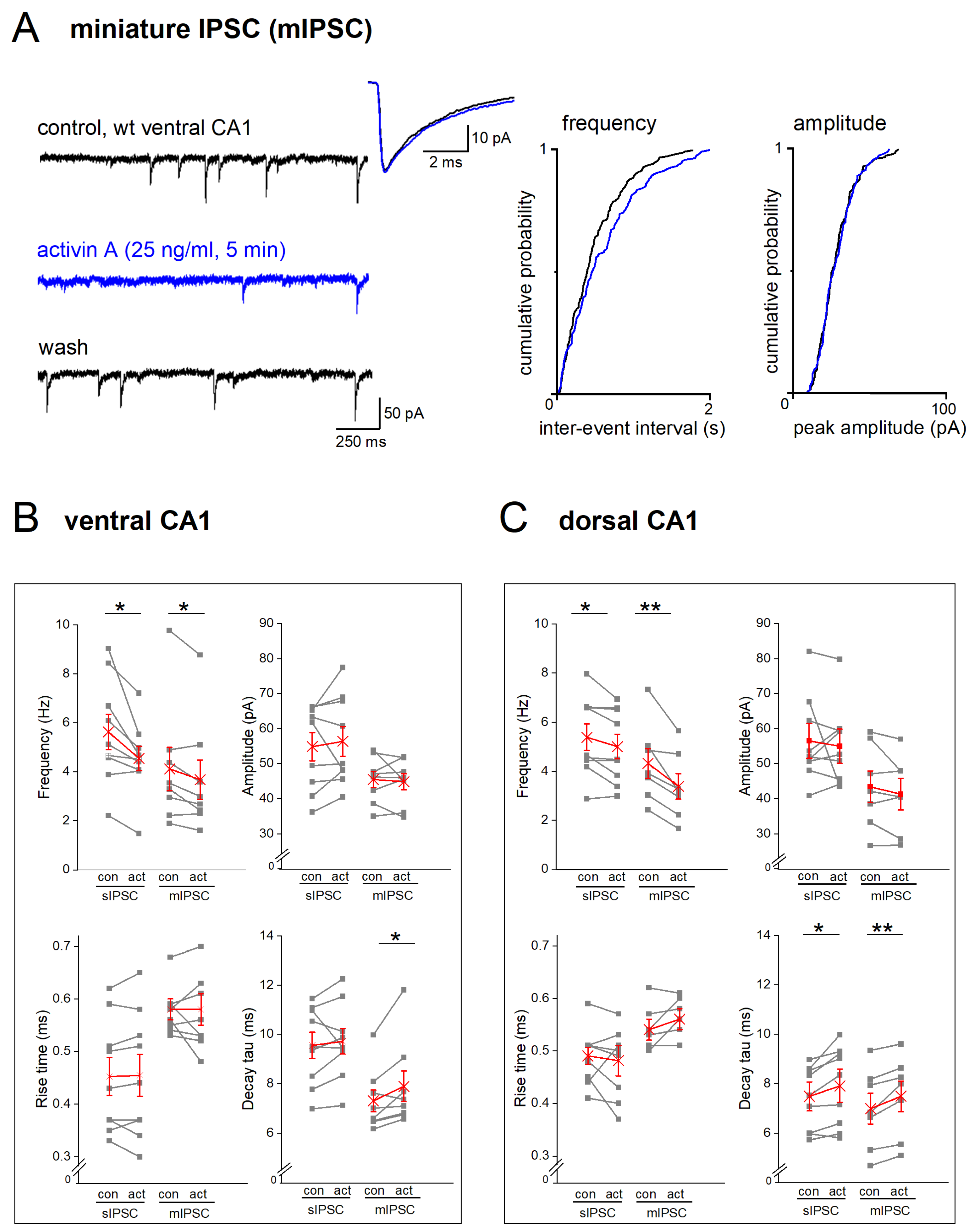Ijms 24 13145 g005 Ijms 24 13145 g005