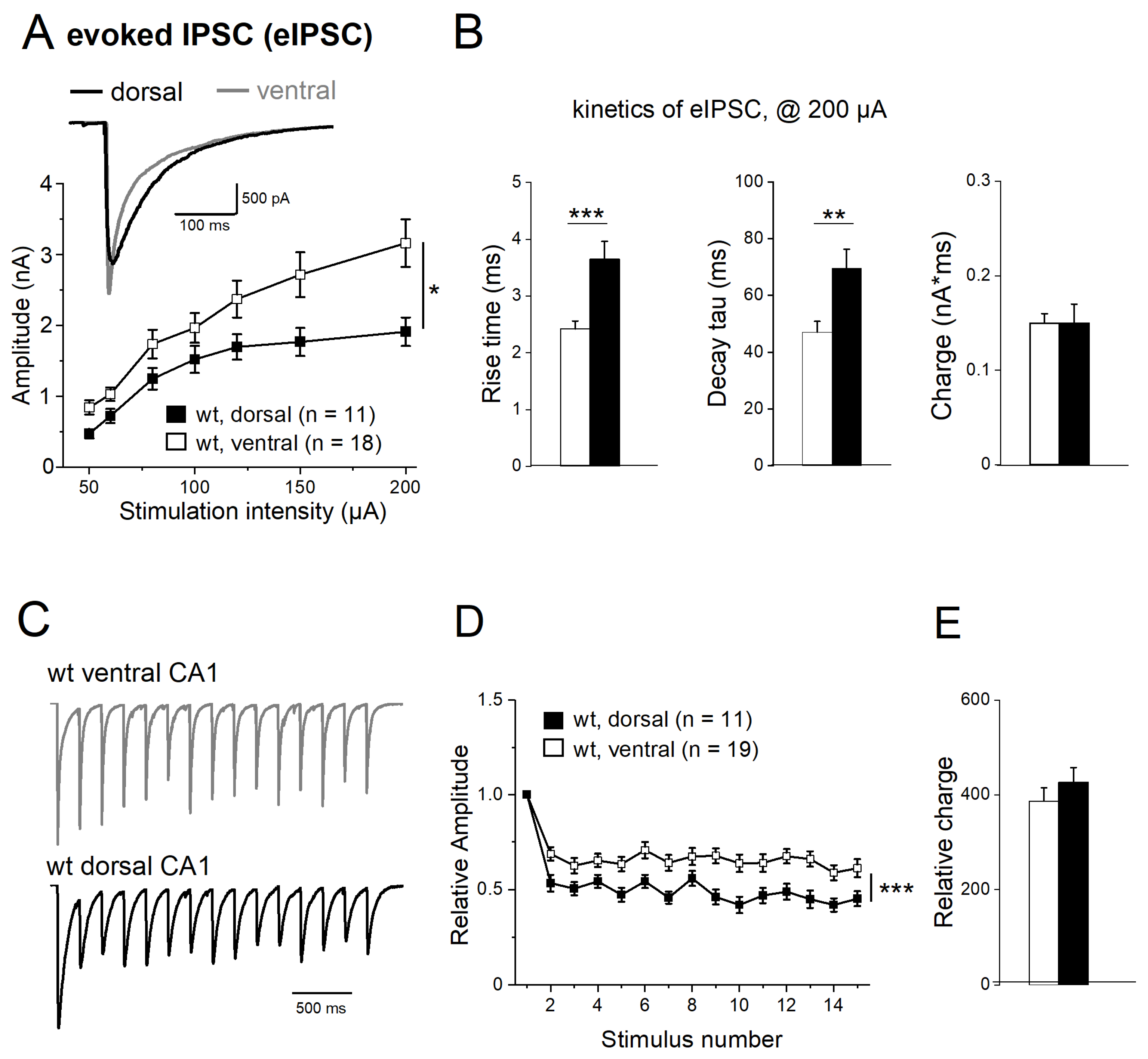 Ijms 24 13145 g006 Ijms 24 13145 g006