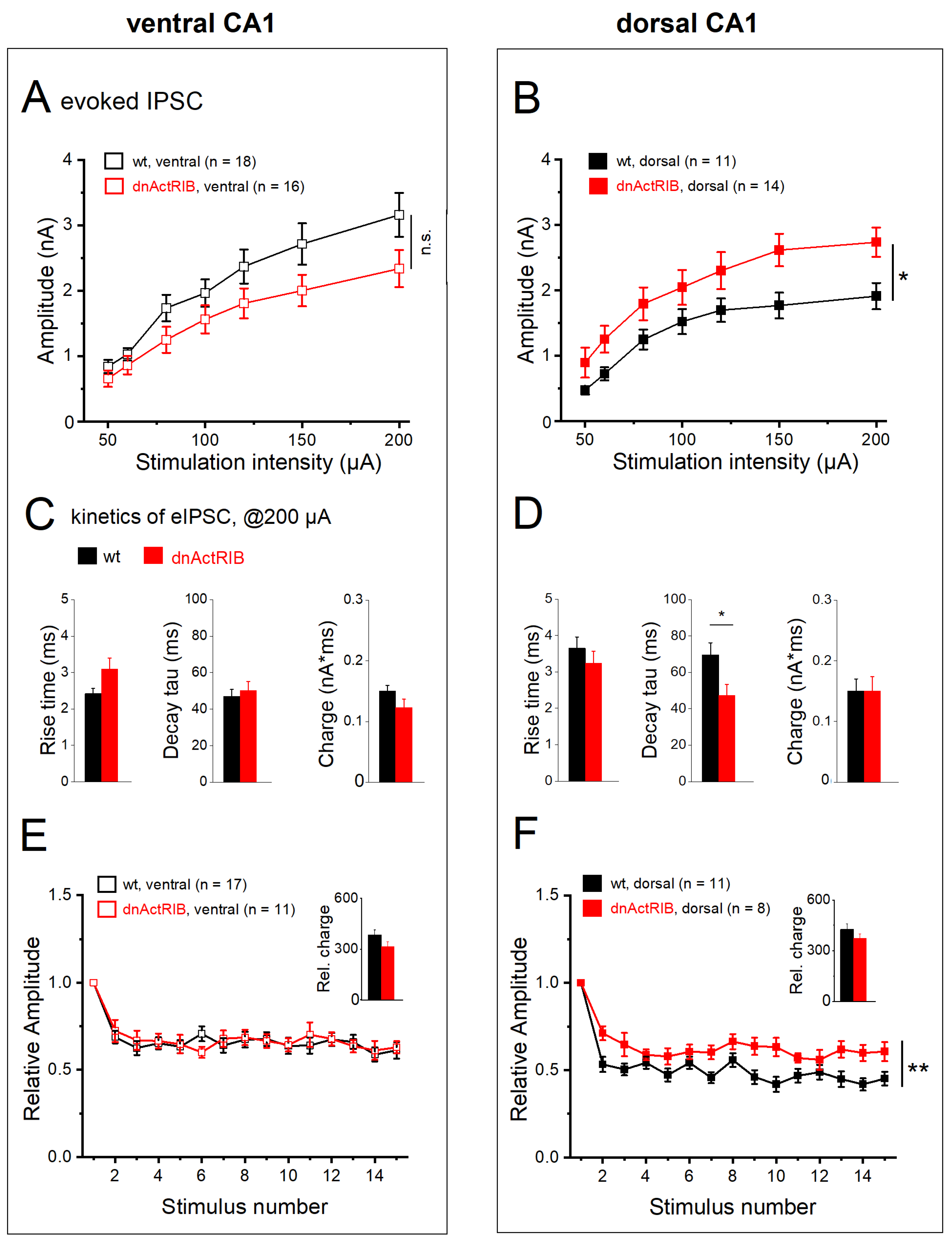 Ijms 24 13145 g007 Ijms 24 13145 g007