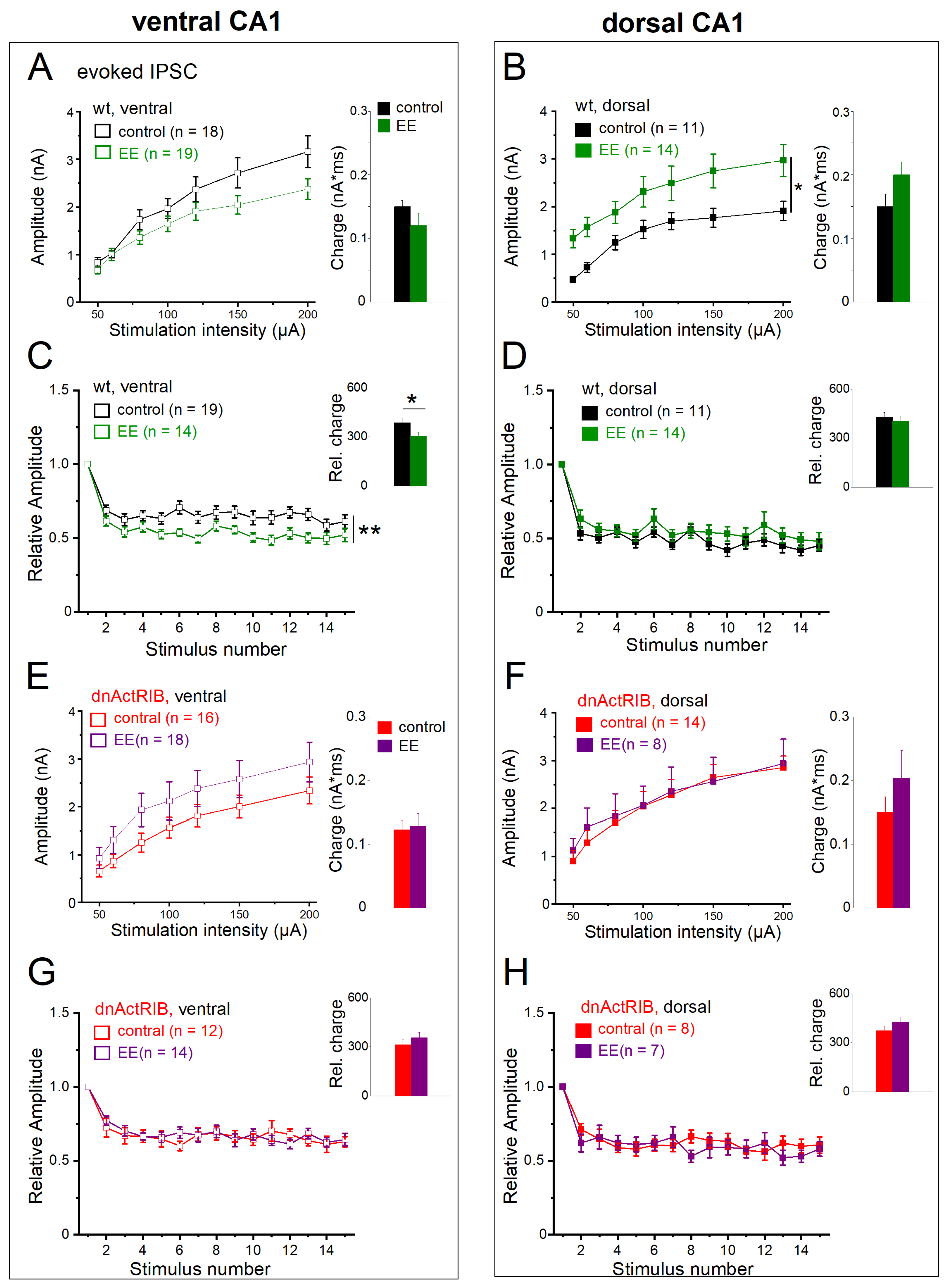 Ijms 24 13145 g008 Ijms 24 13145 g008