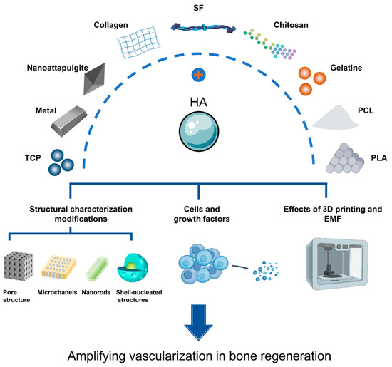 Latest Research of Doped Hydroxyapatite for Bone Tissue Engineering