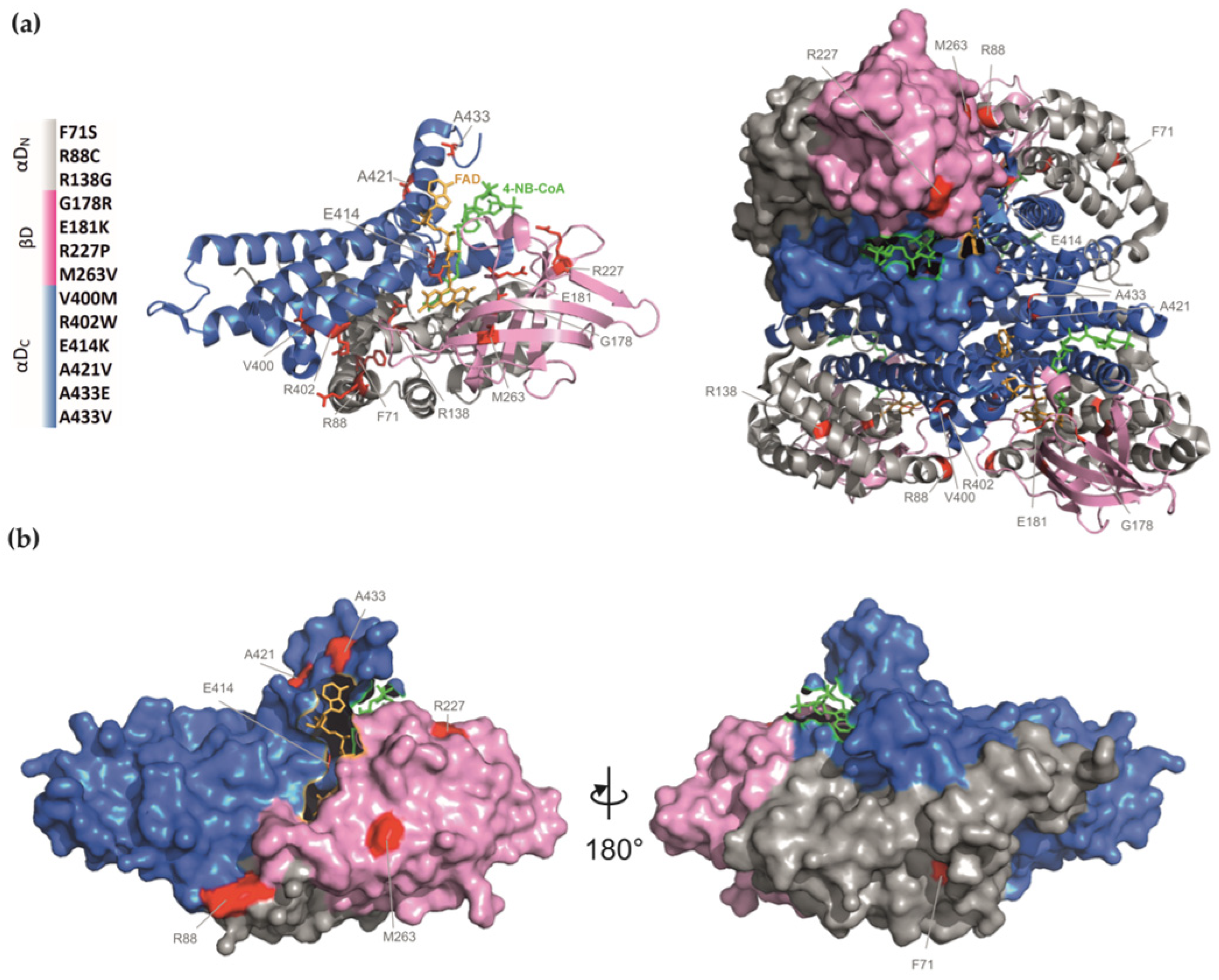 Ijms 24 13158 g001 Ijms 24 13158 g001