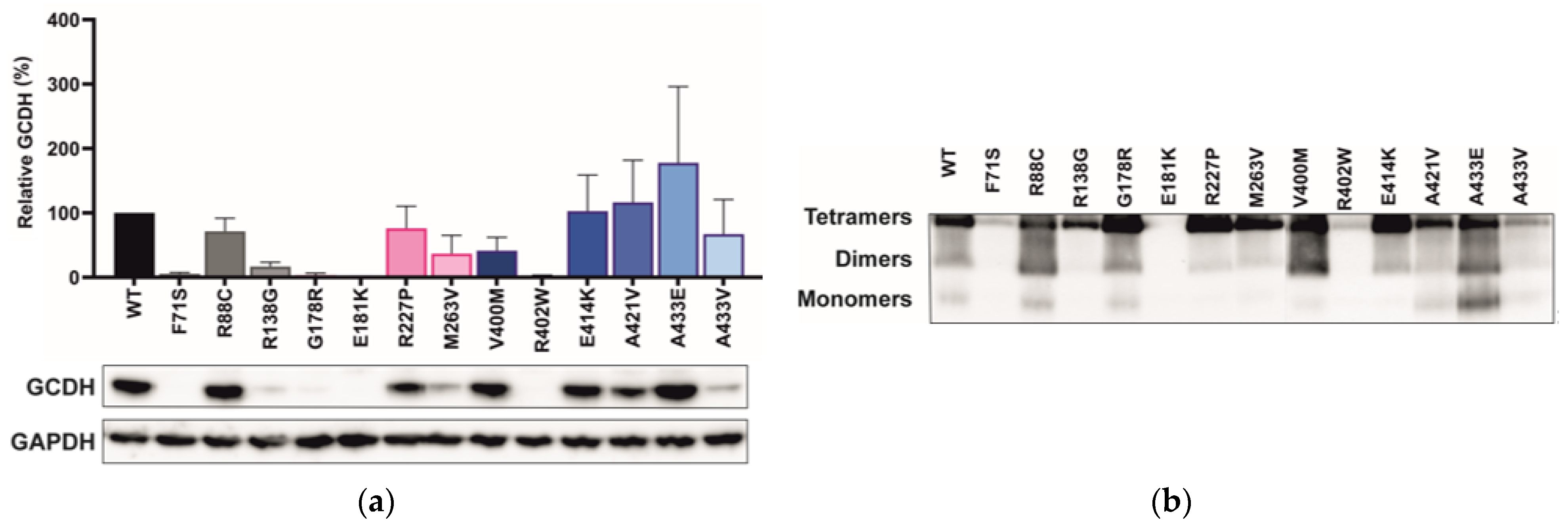 Ijms 24 13158 g003 Ijms 24 13158 g003