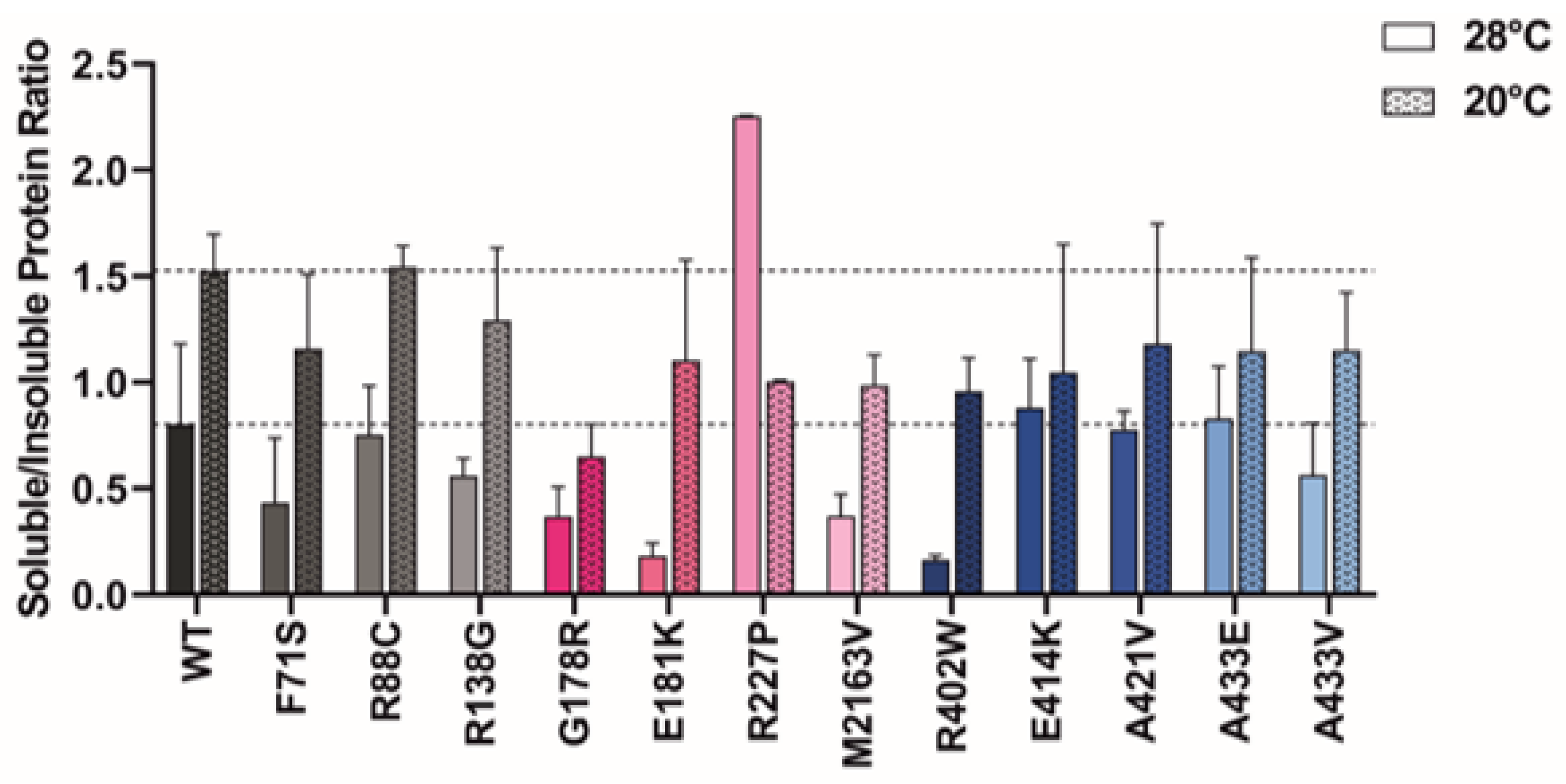 Ijms 24 13158 g005 Ijms 24 13158 g005