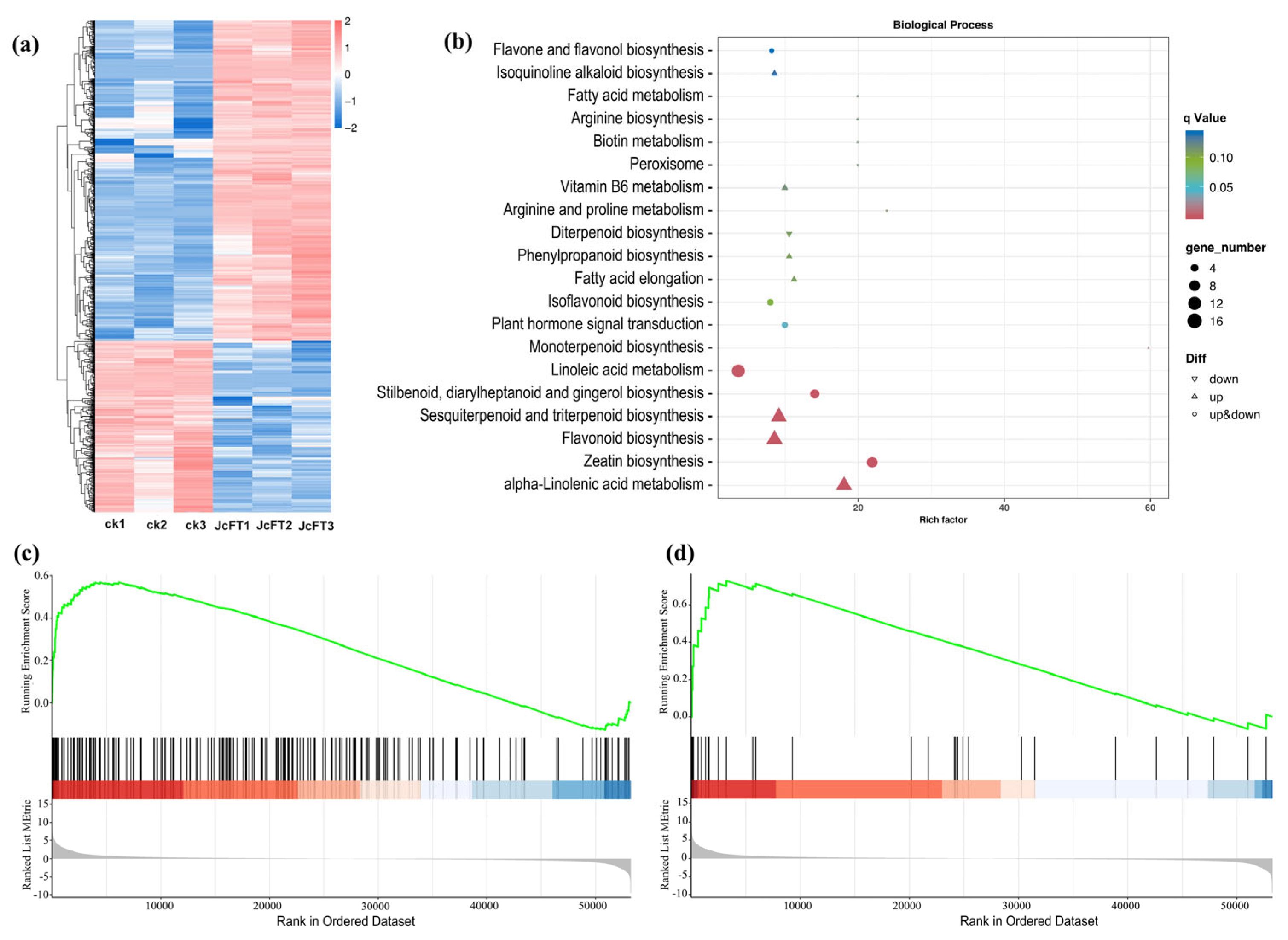 Ijms 24 13183 g002 Ijms 24 13183 g002