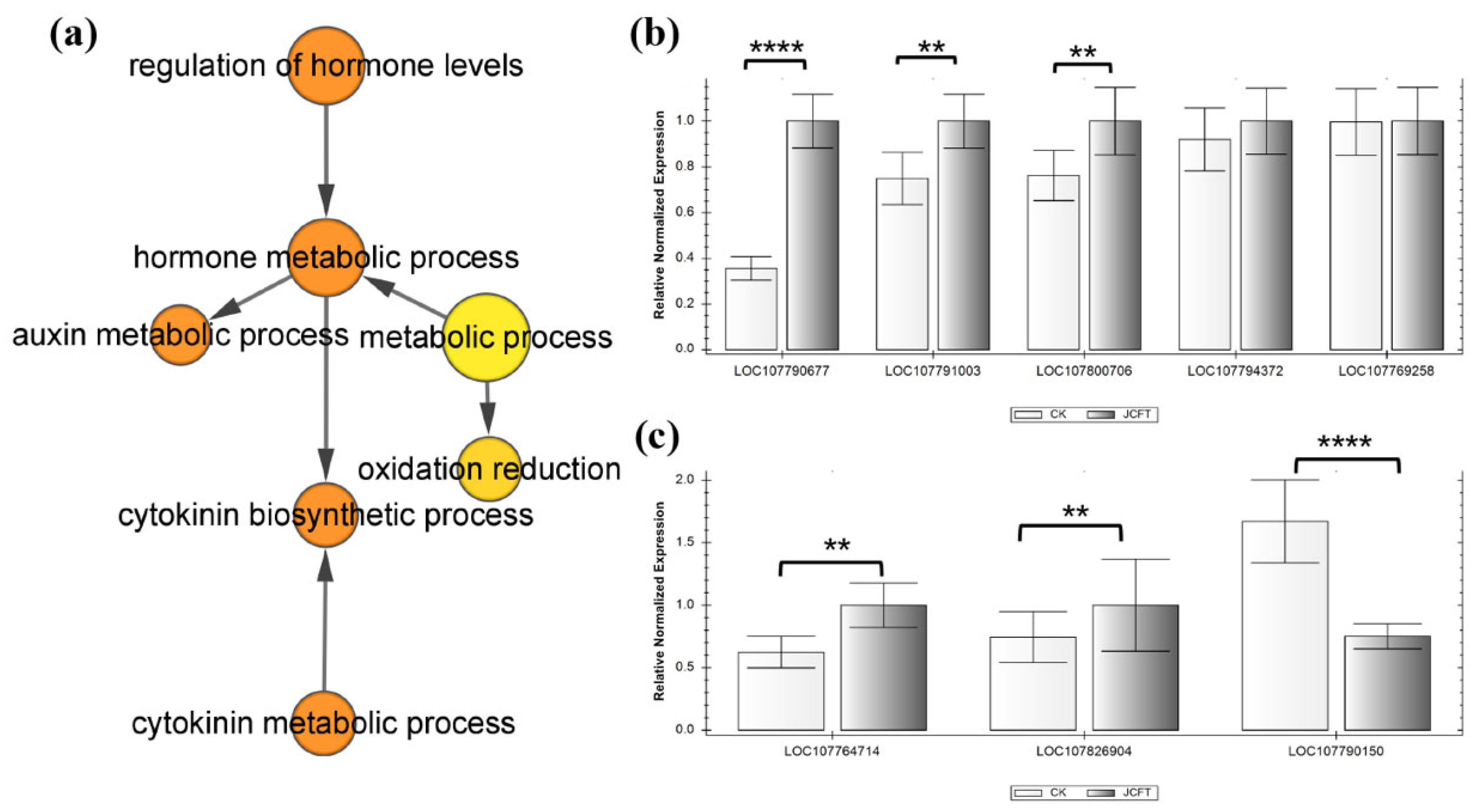 Ijms 24 13183 g004 Ijms 24 13183 g004