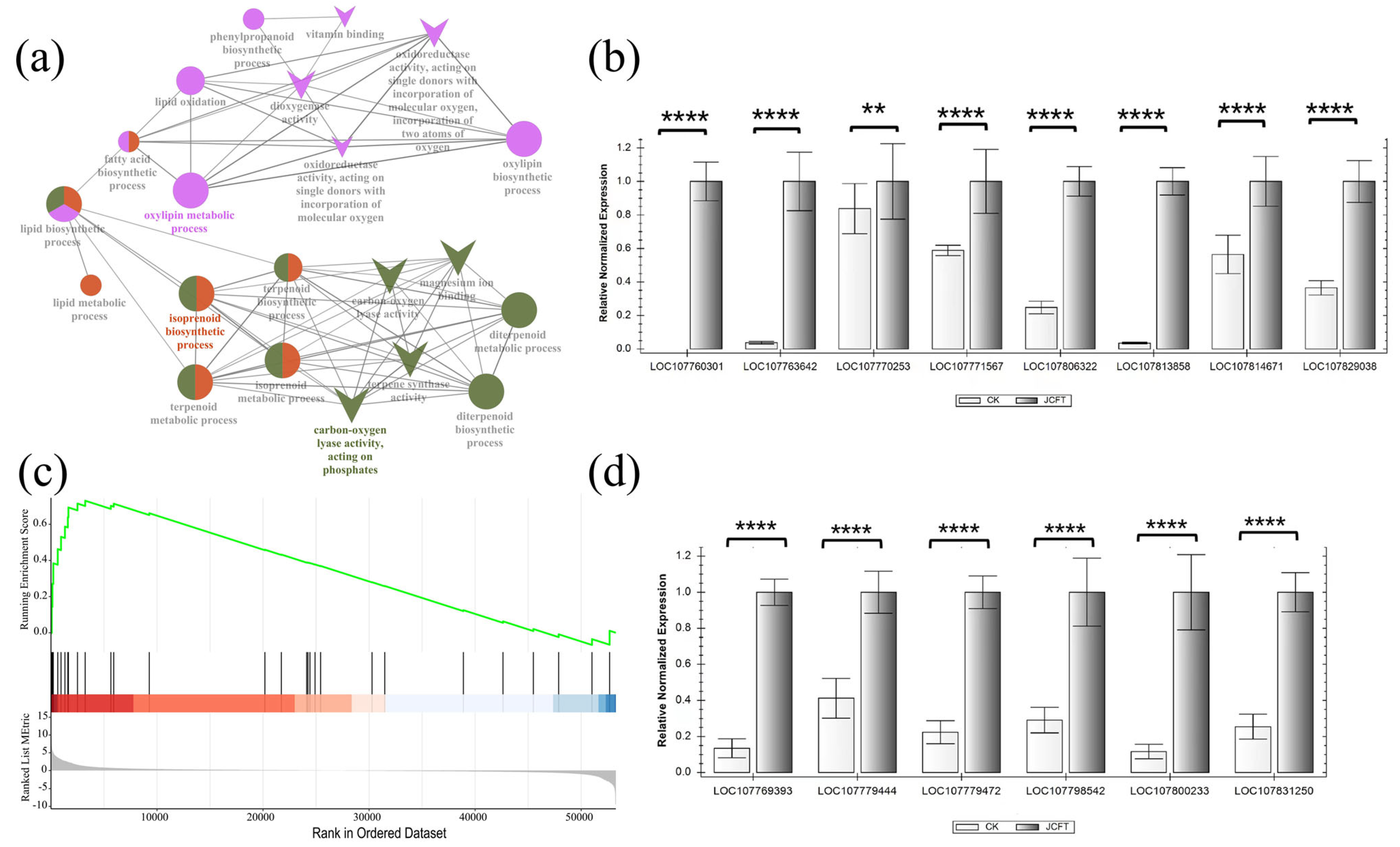 Ijms 24 13183 g006 Ijms 24 13183 g006