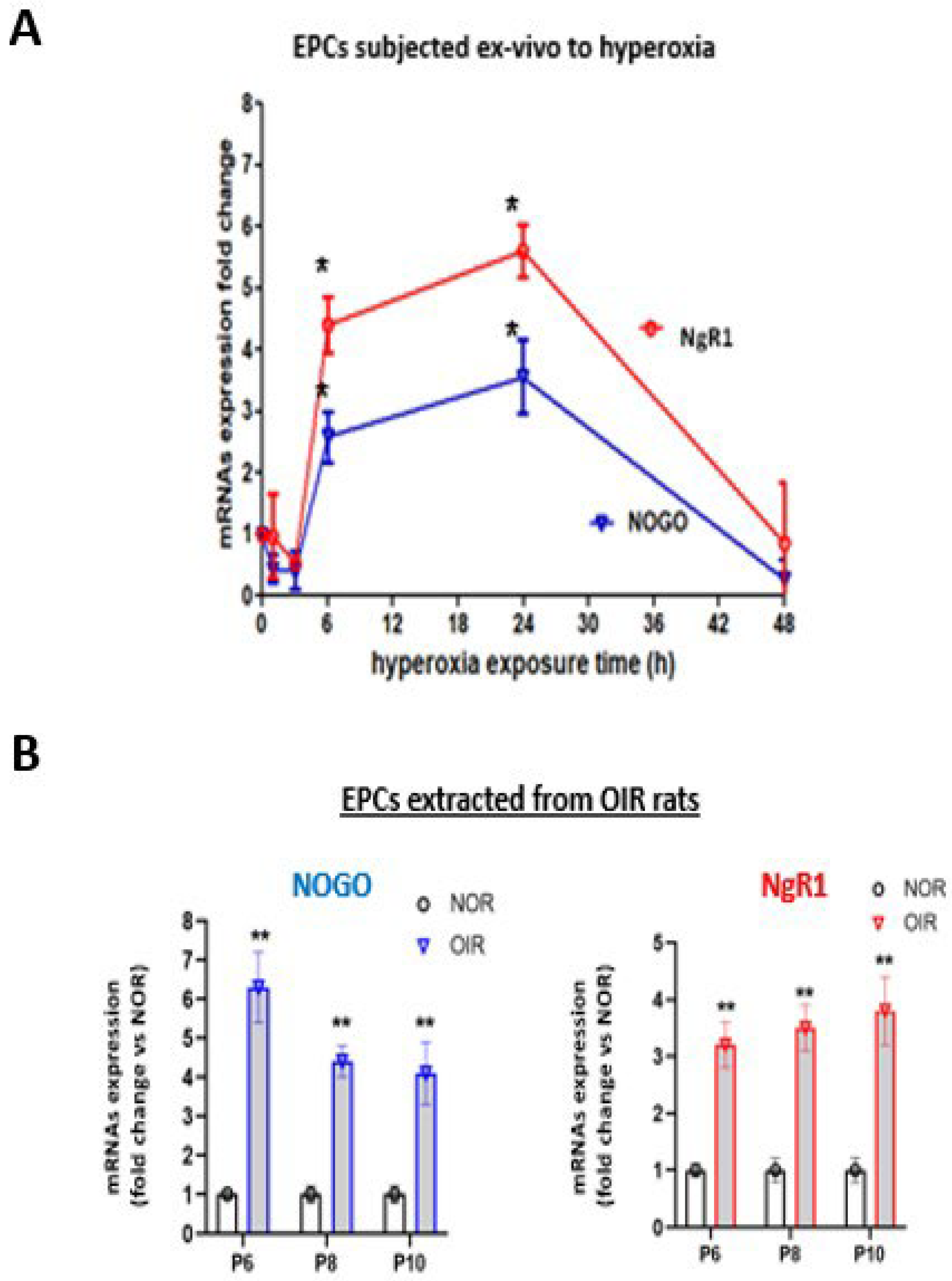 Ijms 24 13185 g002 Ijms 24 13185 g002
