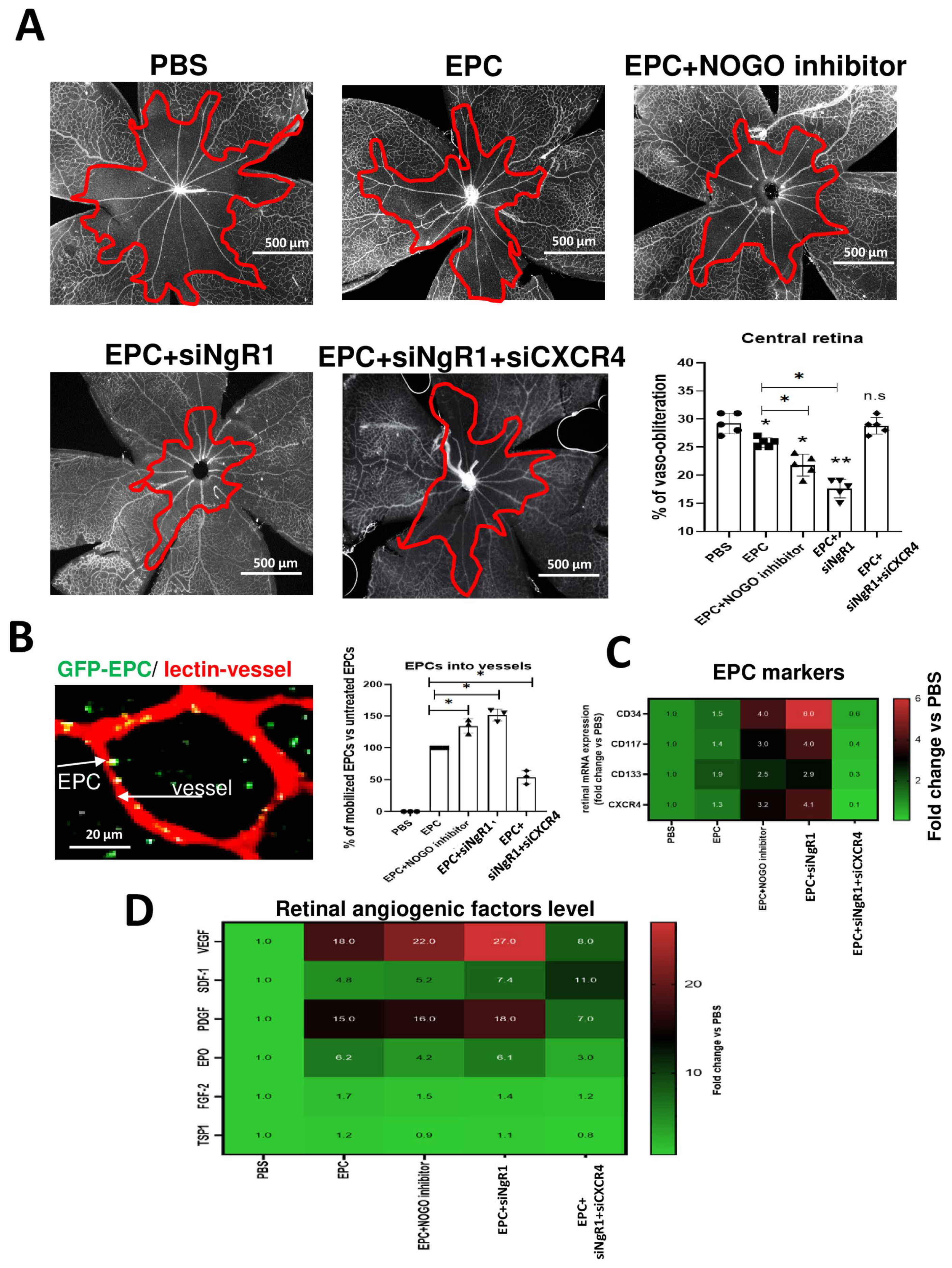 Ijms 24 13185 g005 Ijms 24 13185 g005