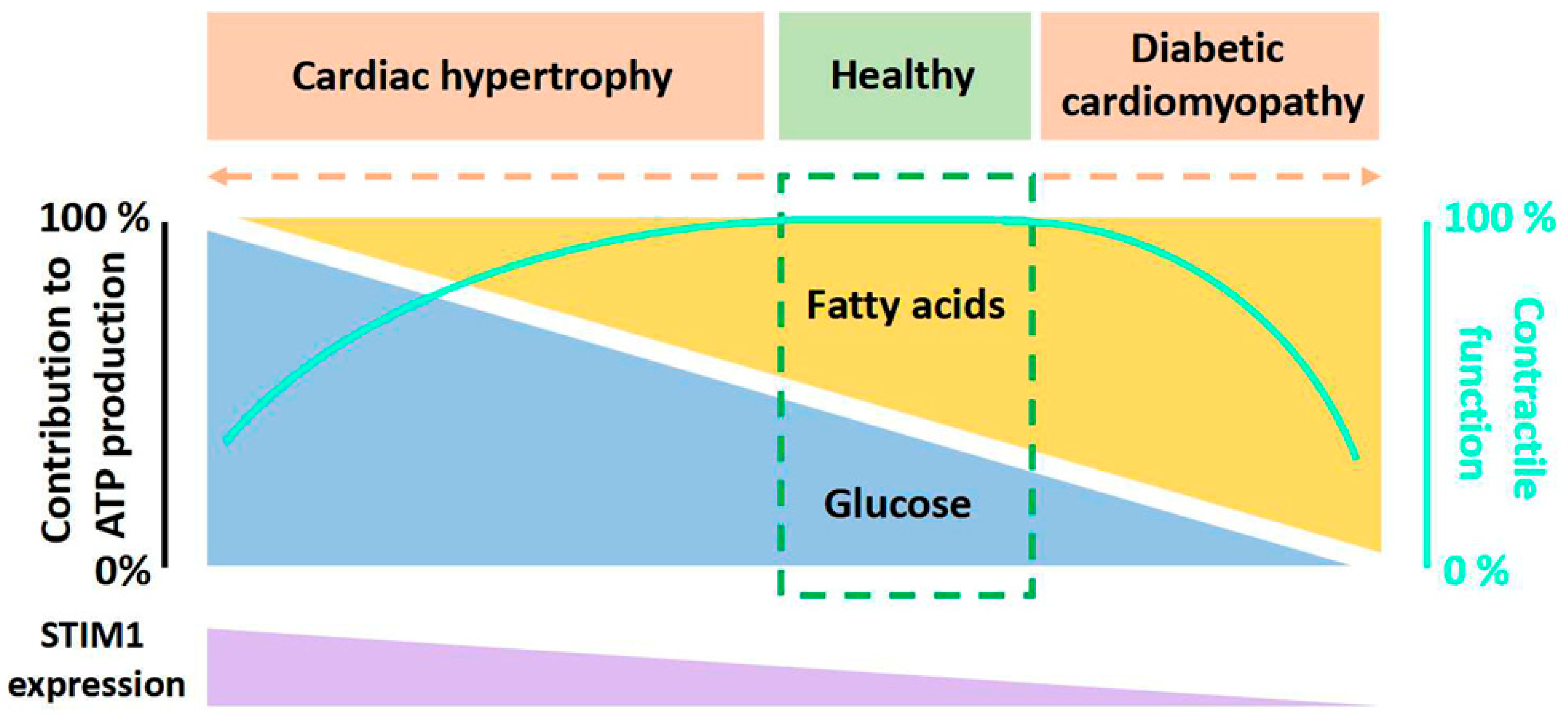 Ijms 24 13188 g001 Ijms 24 13188 g001