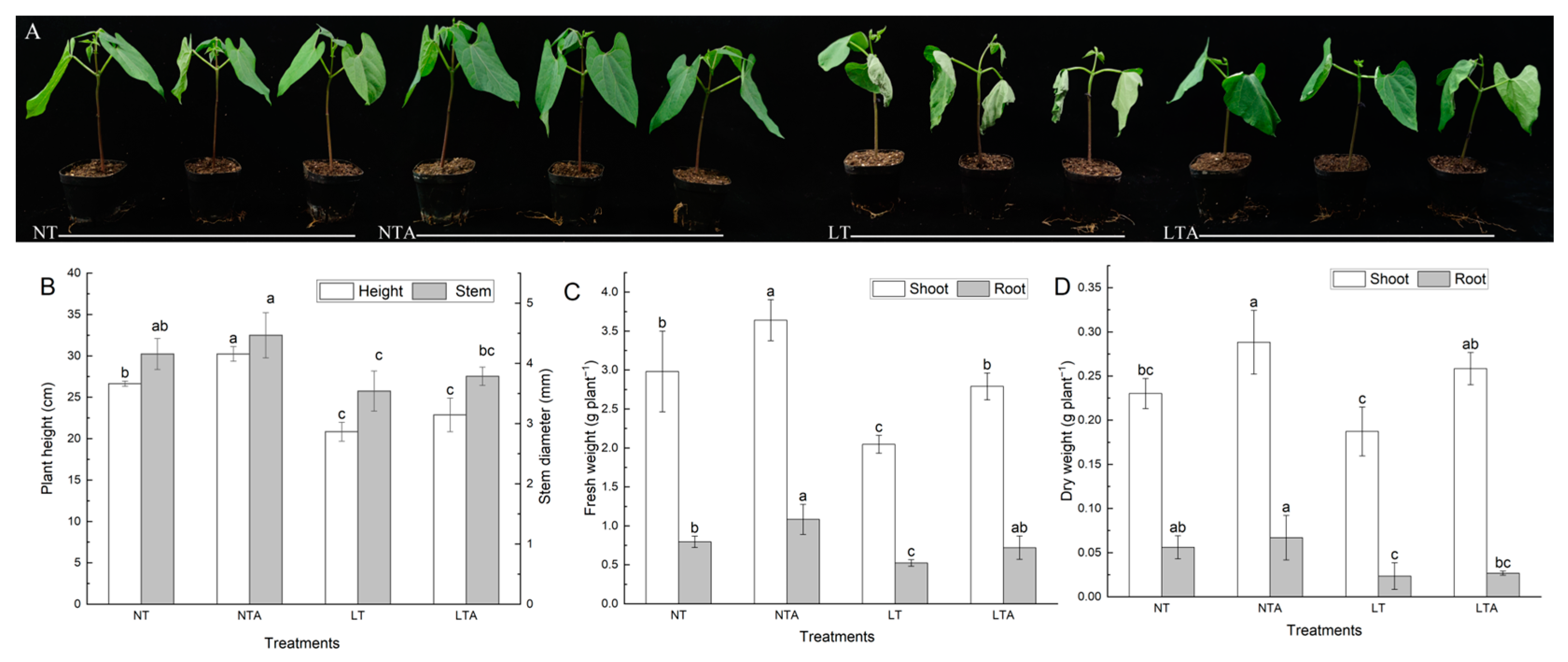 5-ALA Improves the Low Temperature Tolerance of Common Bean 5-ALA Improves the Low Temperature Tolerance of Common Bean