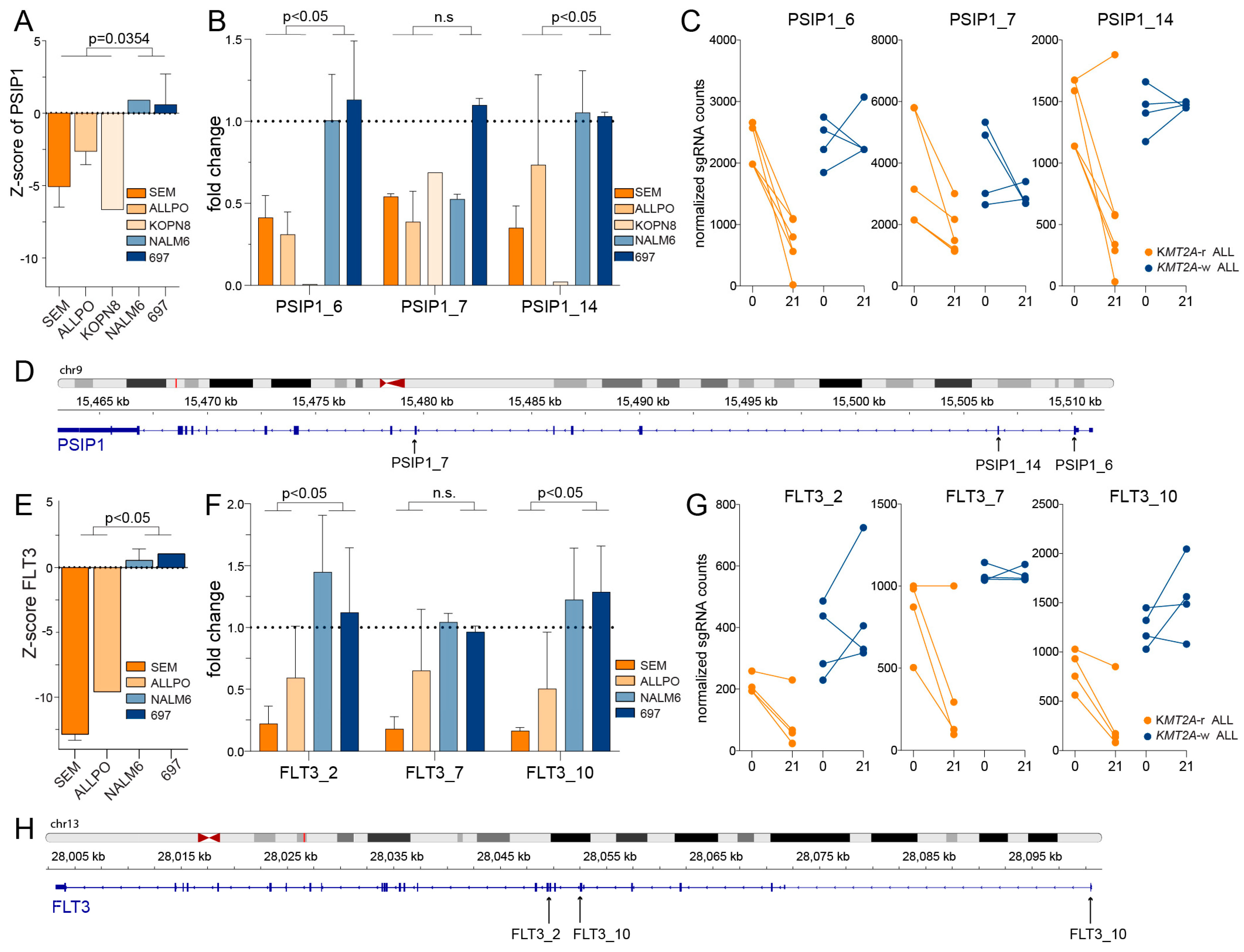 Ijms 24 13207 g002 Ijms 24 13207 g002