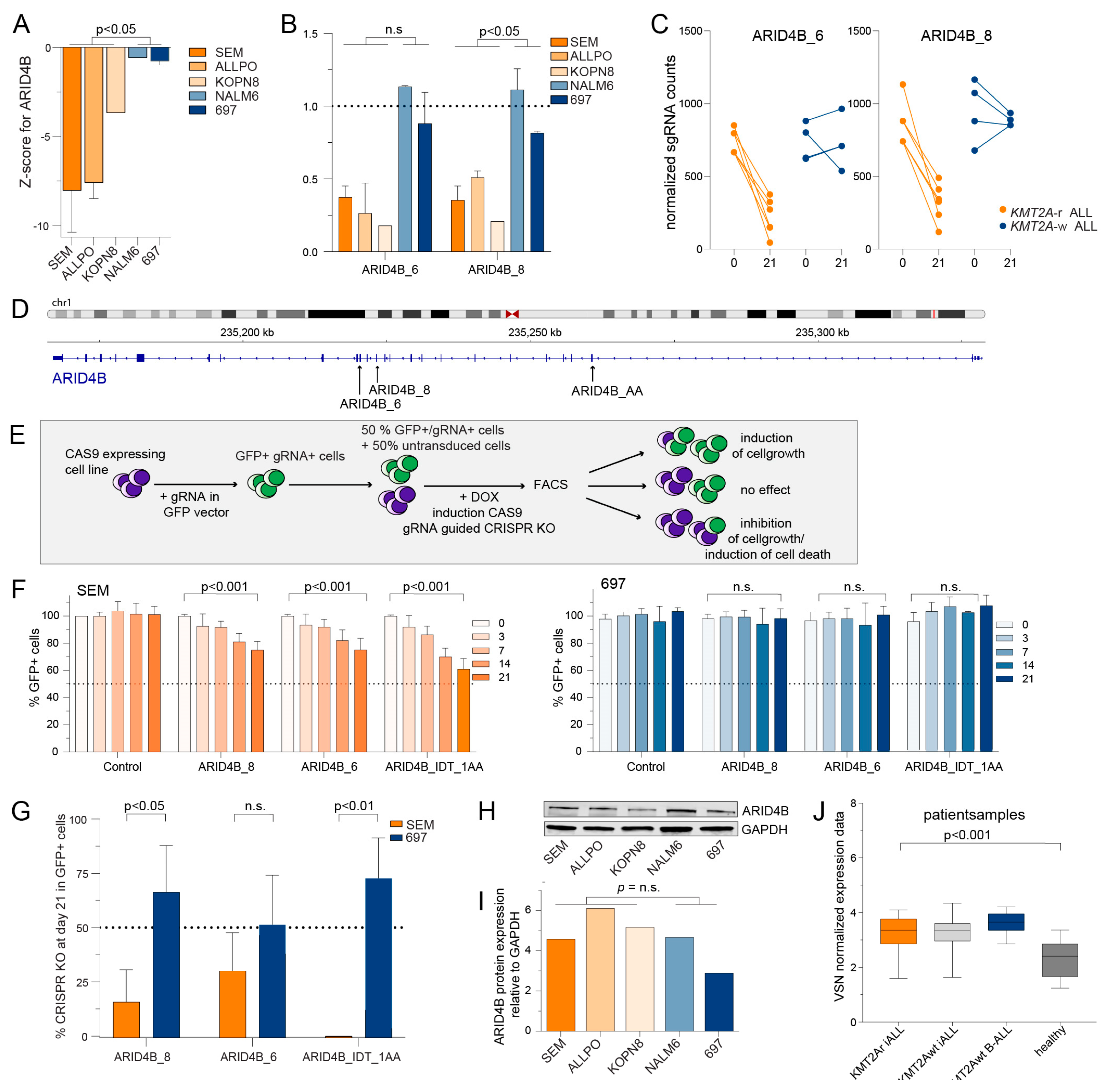 Ijms 24 13207 g003 Ijms 24 13207 g003