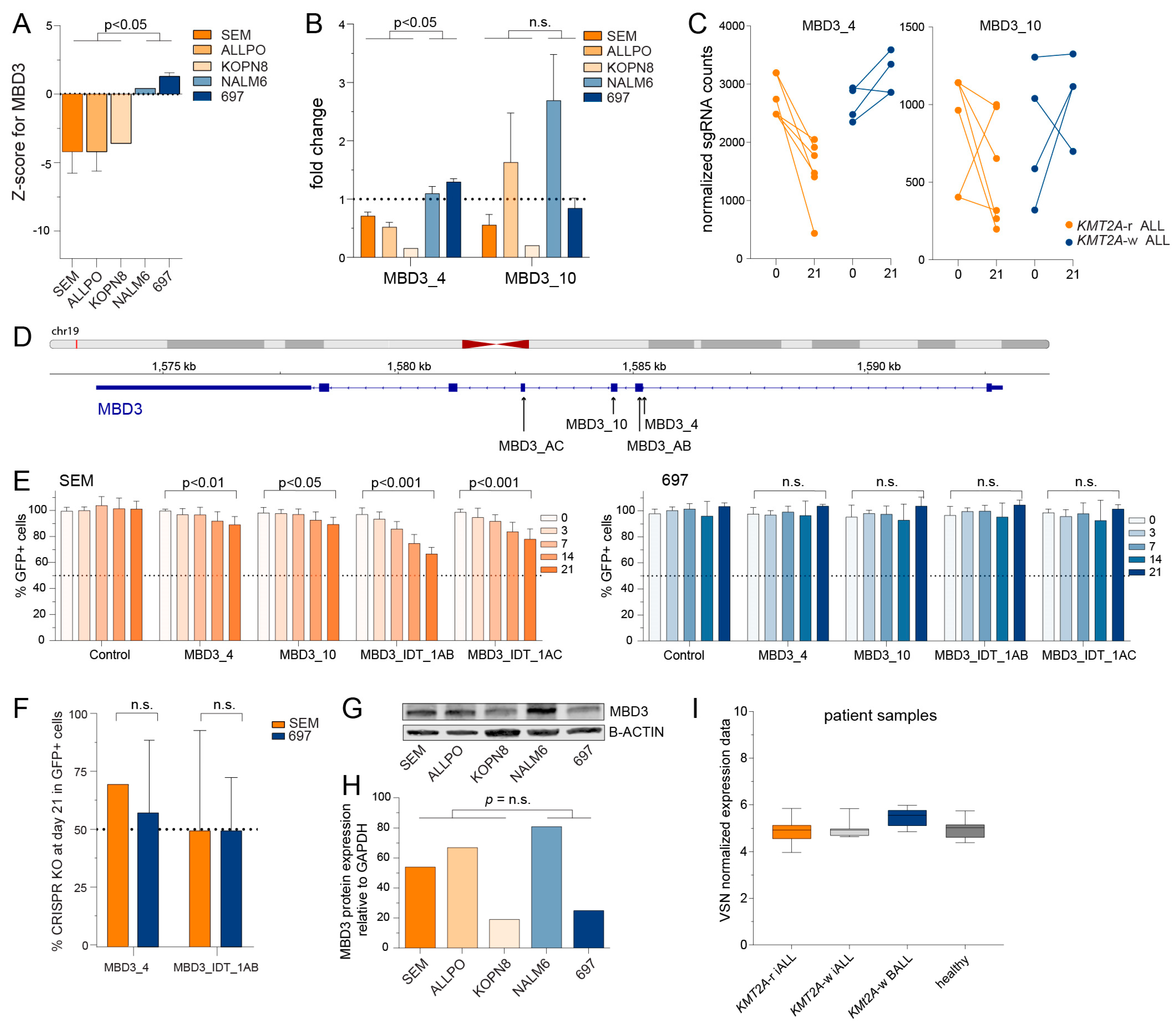 Ijms 24 13207 g004 Ijms 24 13207 g004