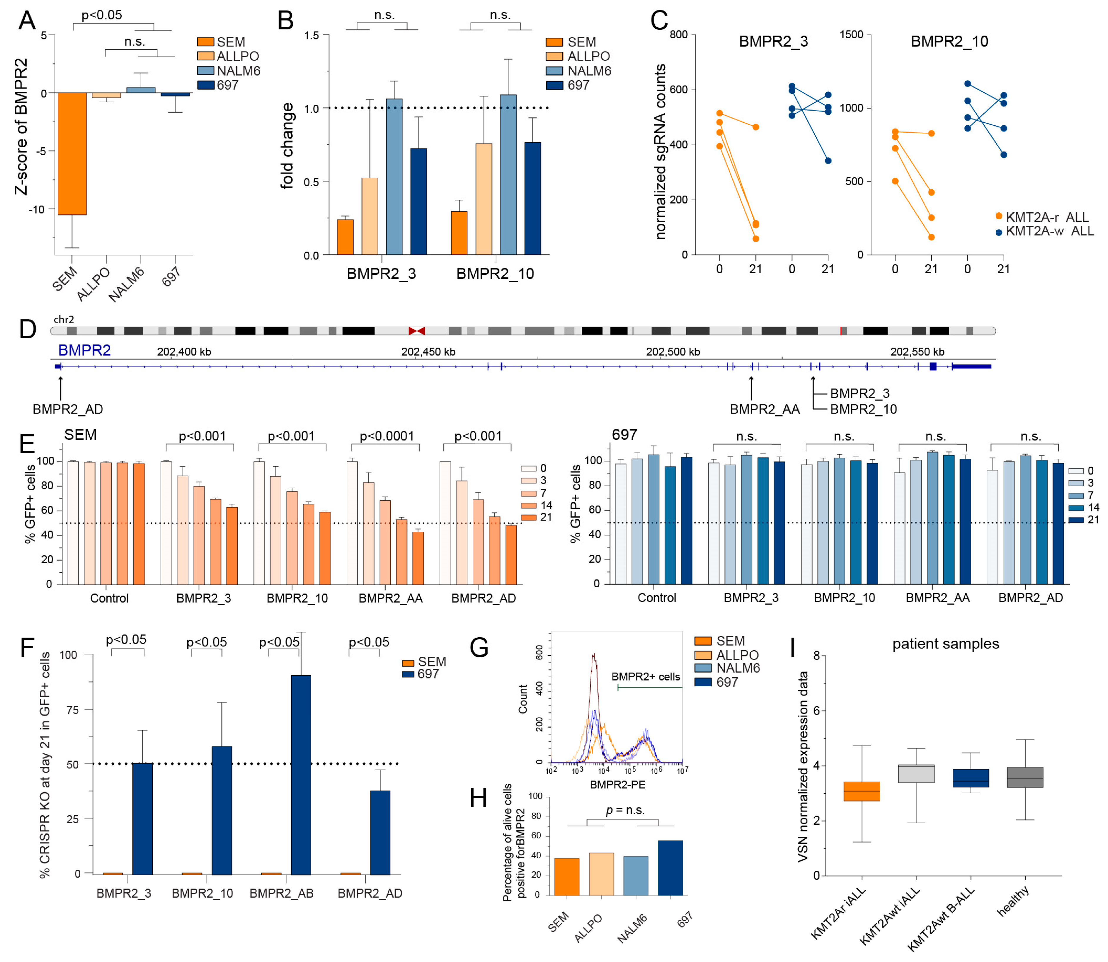 Ijms 24 13207 g005 Ijms 24 13207 g005