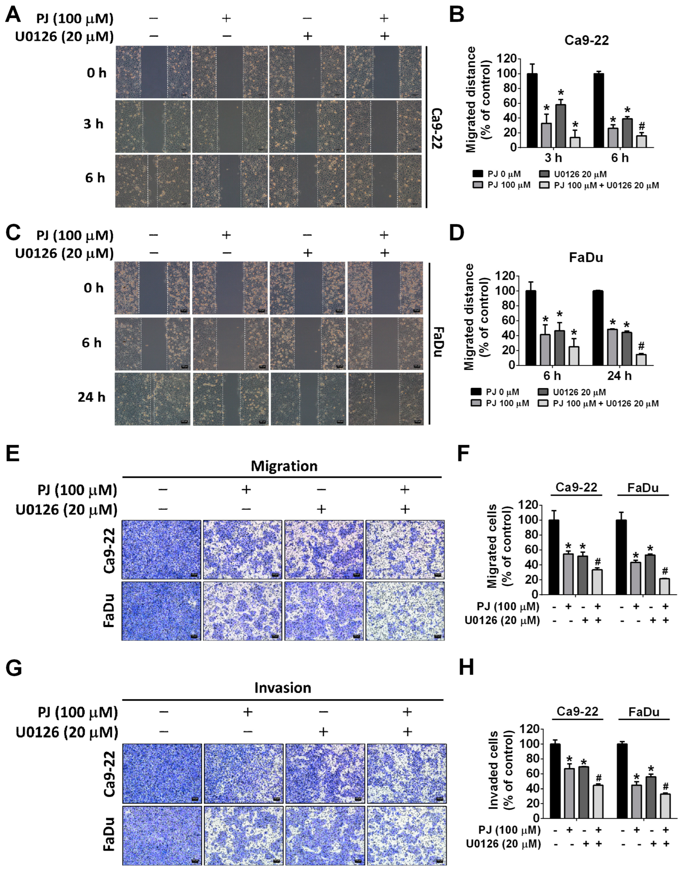 Ijms 24 13230 g007 Ijms 24 13230 g007