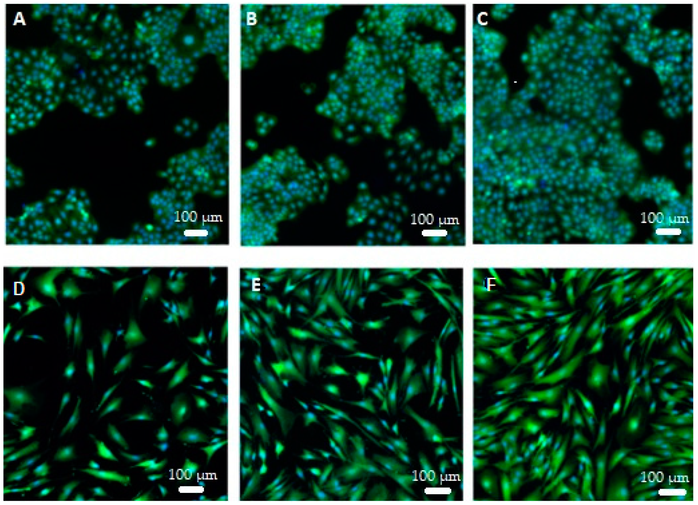 Ijms 24 13232 g007 Ijms 24 13232 g007