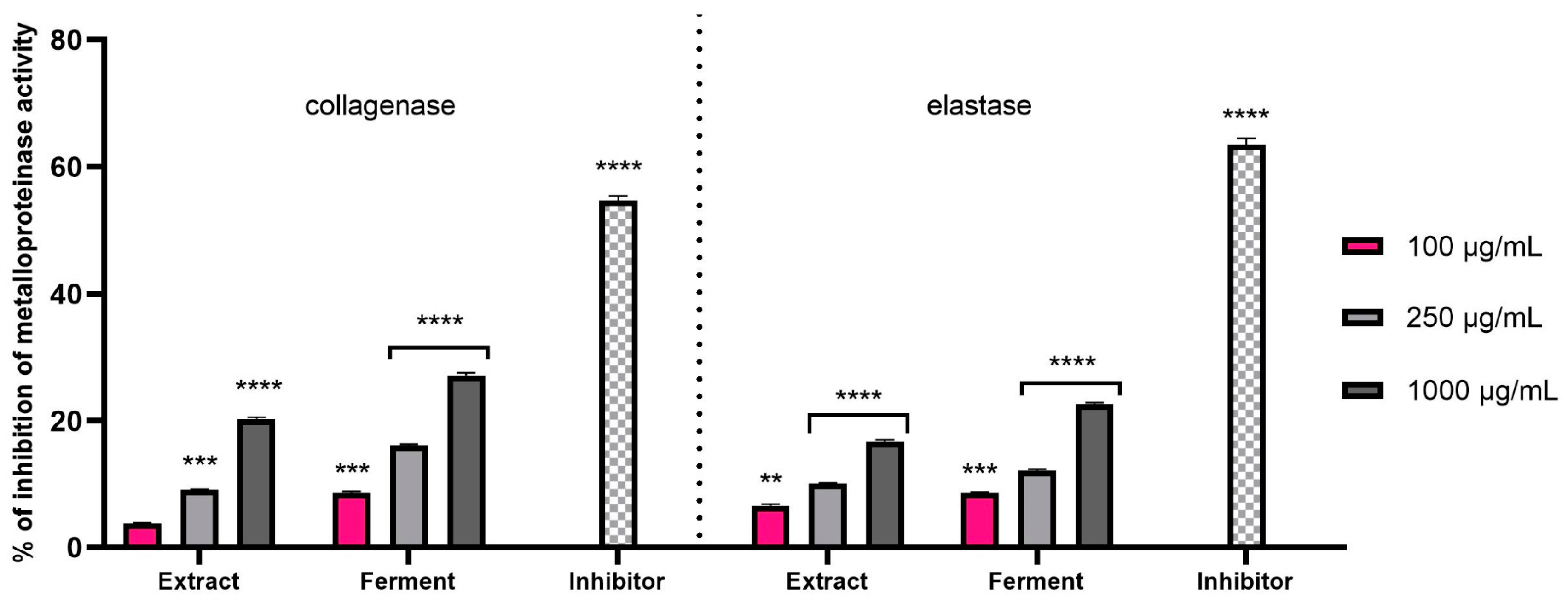 Ijms 24 13232 g008 Ijms 24 13232 g008