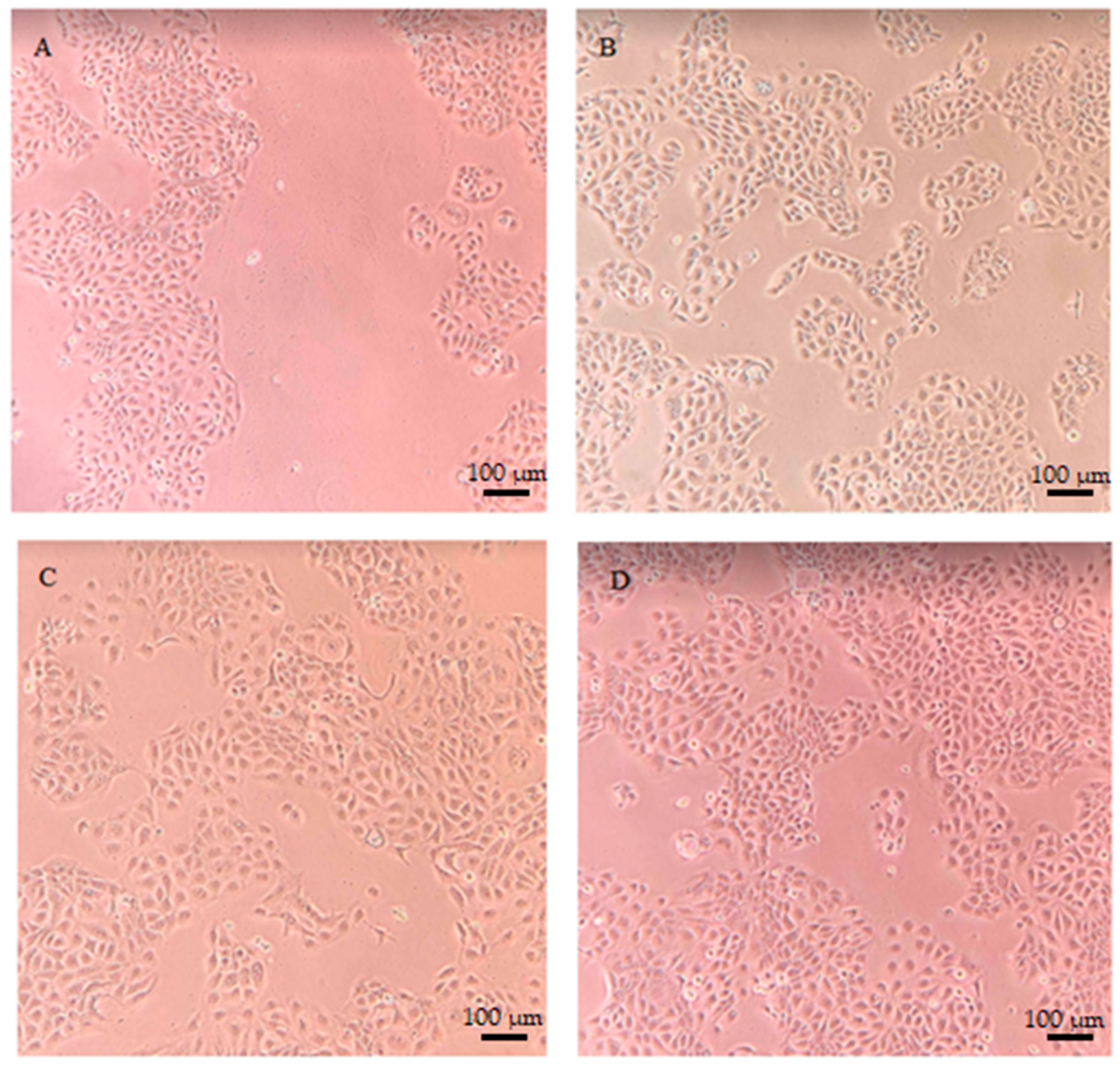 Ijms 24 13232 g009 Ijms 24 13232 g009