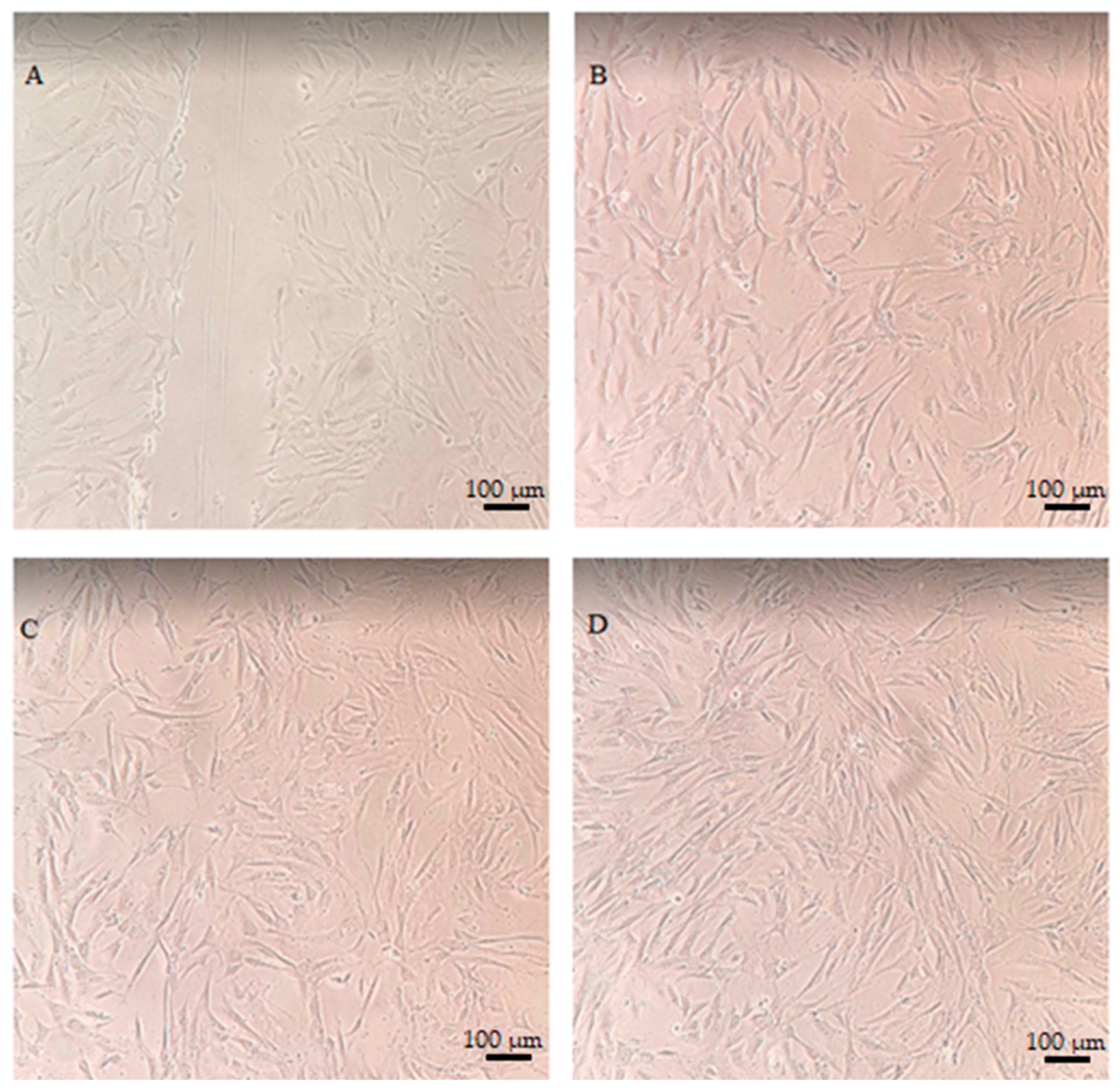 Ijms 24 13232 g010 Ijms 24 13232 g010