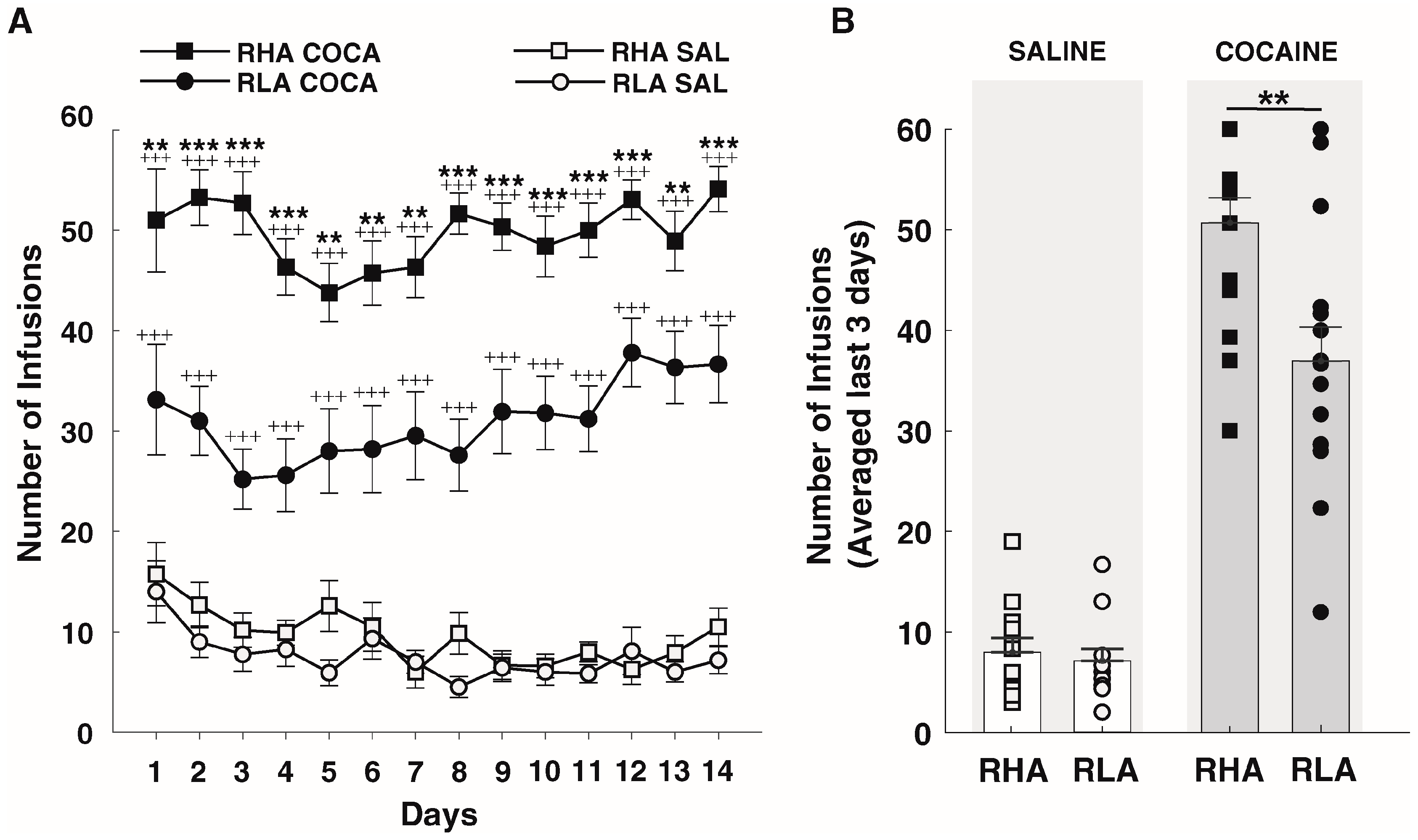 Ijms 24 13238 g003 Ijms 24 13238 g003