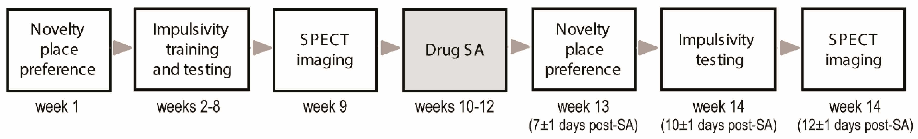 Ijms 24 13238 g007 Ijms 24 13238 g007