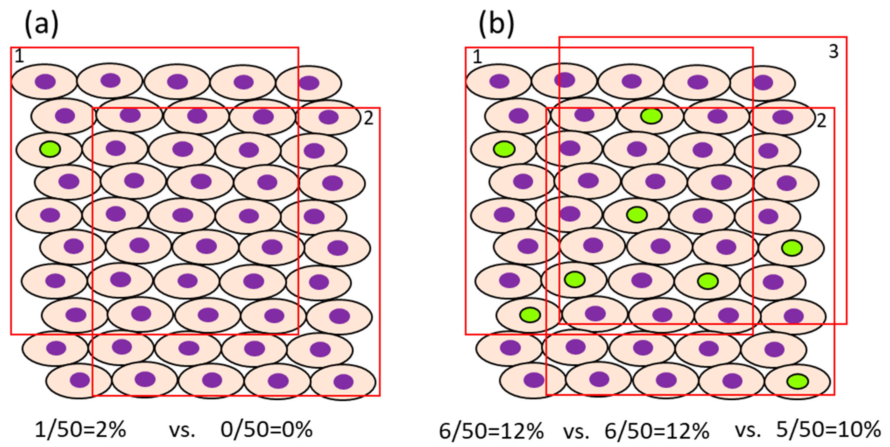 Ijms 24 13246 g002 Ijms 24 13246 g002