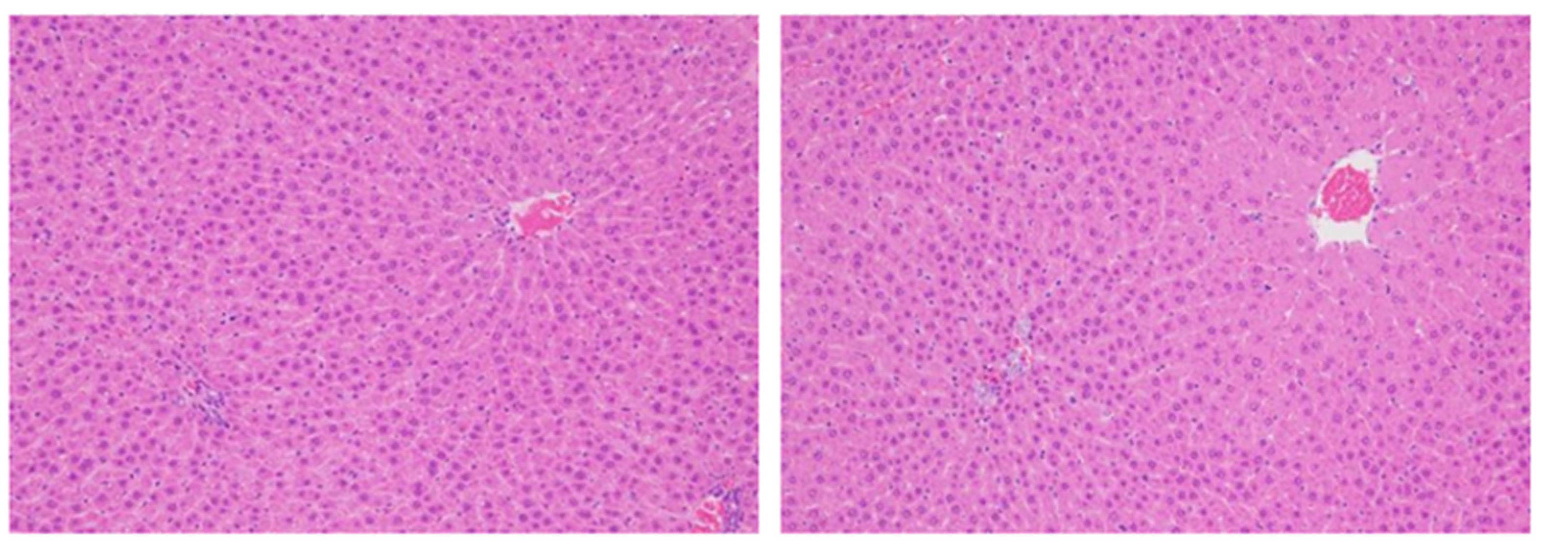 Ijms 24 13246 g004 Ijms 24 13246 g004