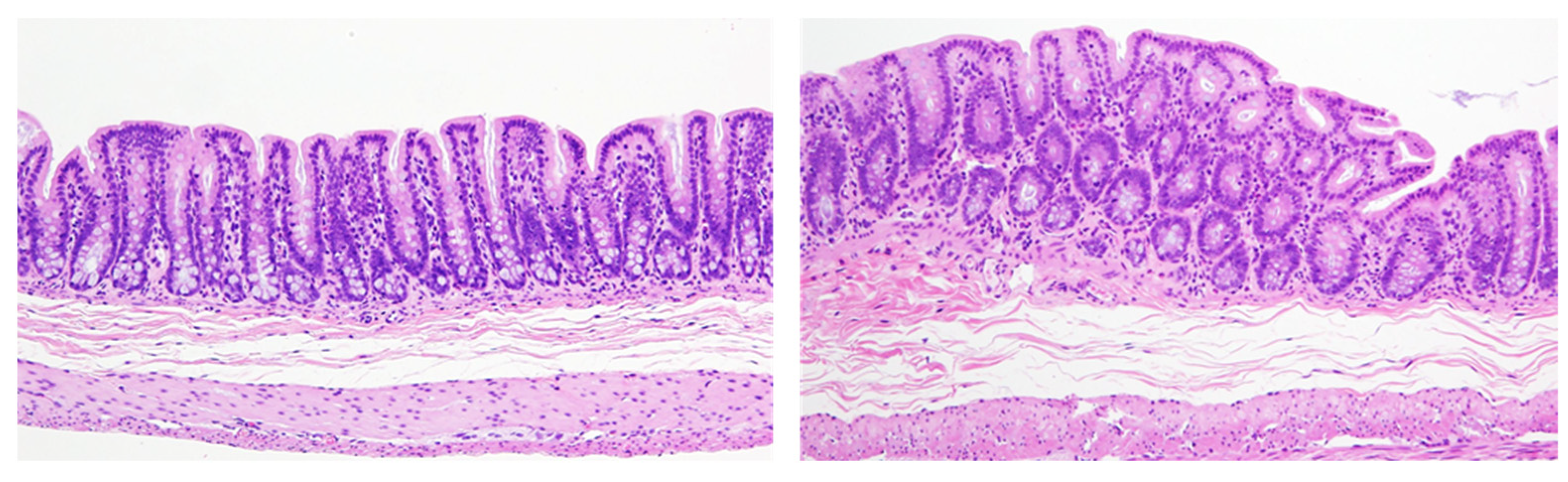 Ijms 24 13246 g005 Ijms 24 13246 g005