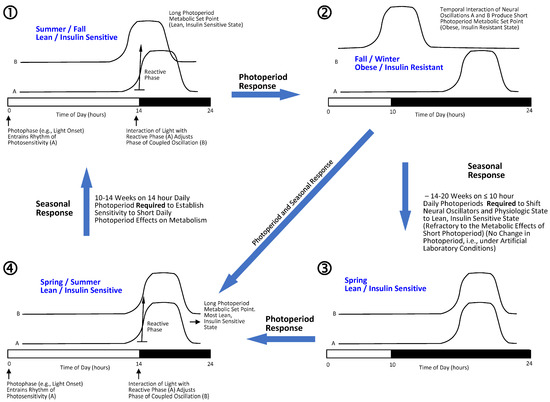 ジャンク KATO 407 408 410 411 412 414 国鉄181系 特急形電車 7両セット N3887282 Korea, and Her Neighbors, by Isabella Bird Bishop\u2014A Project