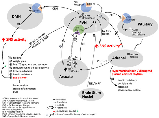Muse Research Receptor ジャンク