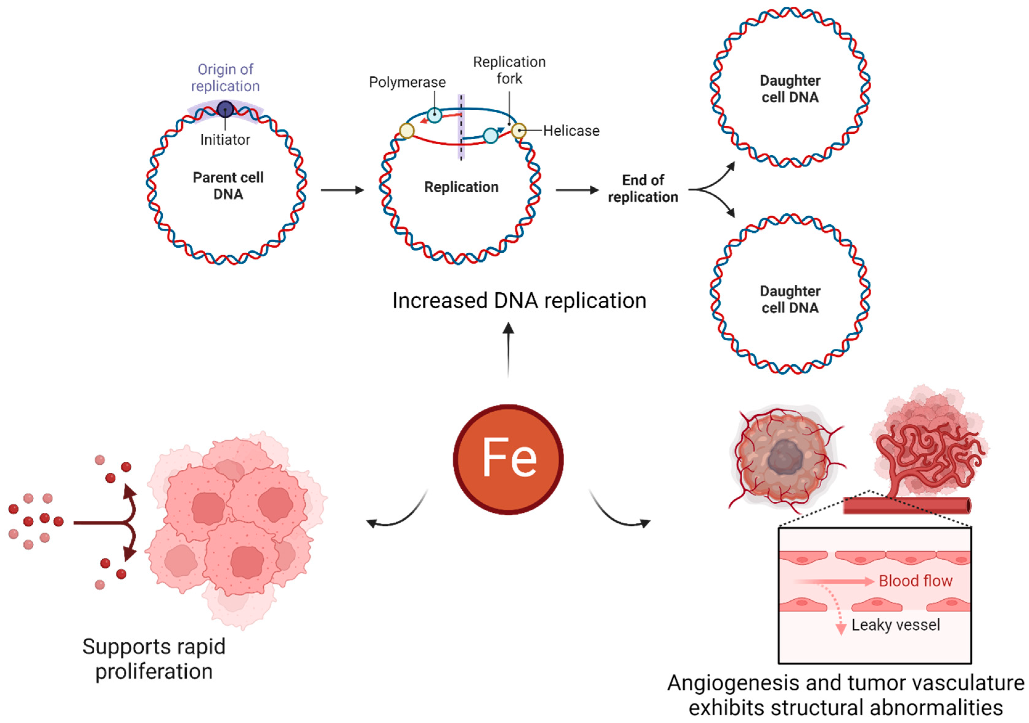 Ijms 24 13262 g004 Ijms 24 13262 g004