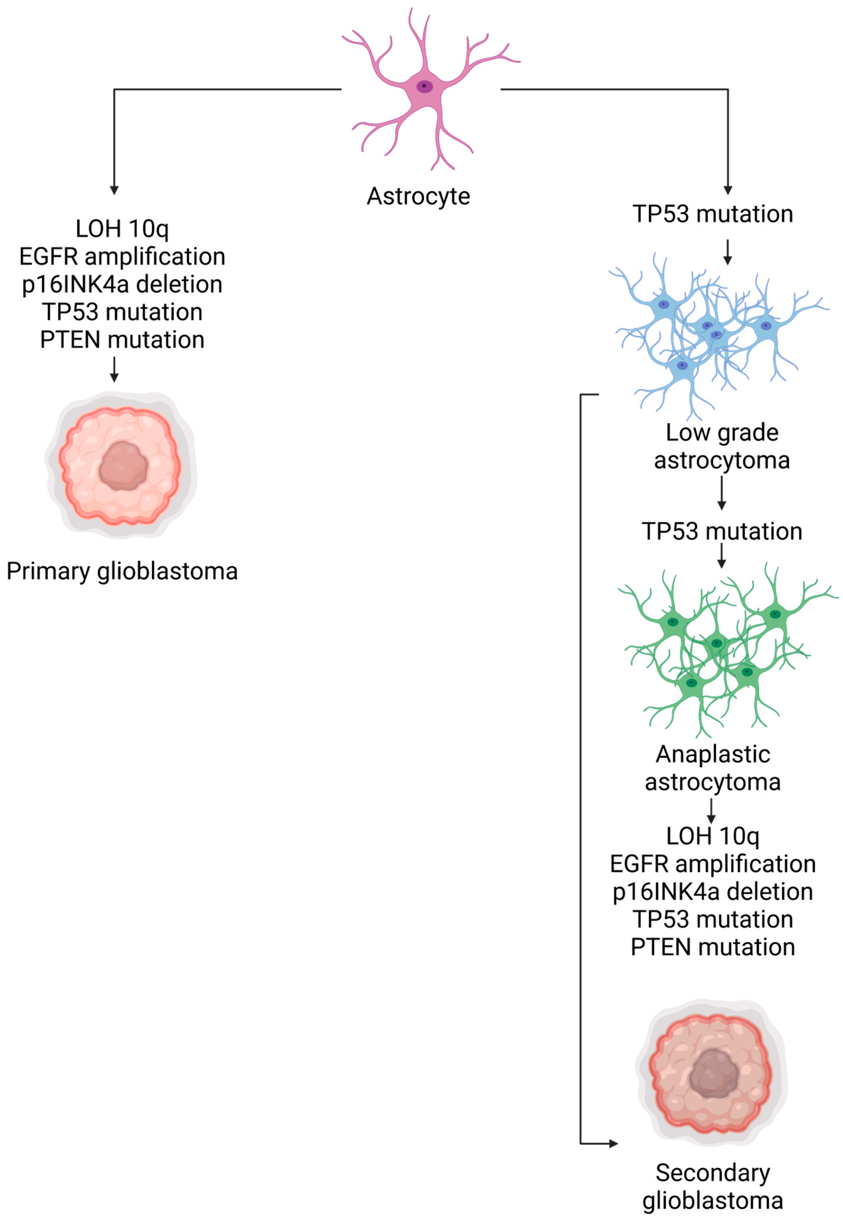 Ijms 24 13262 g005 Ijms 24 13262 g005