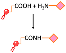 Ijms 24 13262 i002 Ijms 24 13262 i002