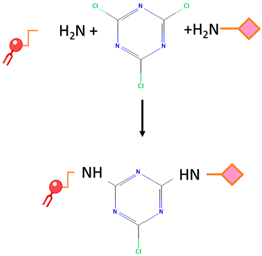 Ijms 24 13262 i003 Ijms 24 13262 i003