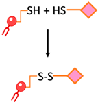 Ijms 24 13262 i005 Ijms 24 13262 i005