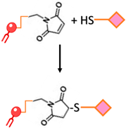 Ijms 24 13262 i006 Ijms 24 13262 i006