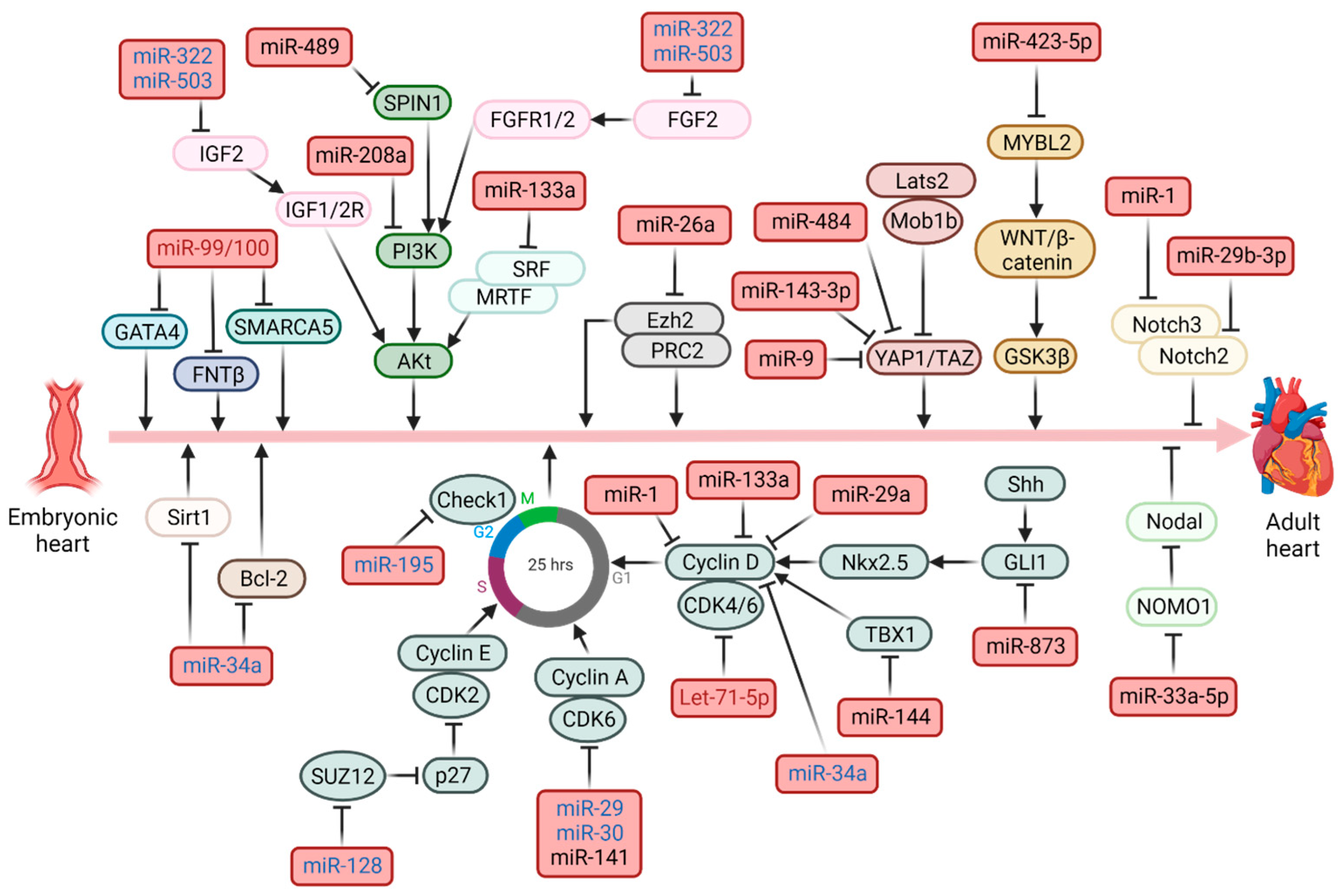 Ijms 24 13268 g003 Ijms 24 13268 g003