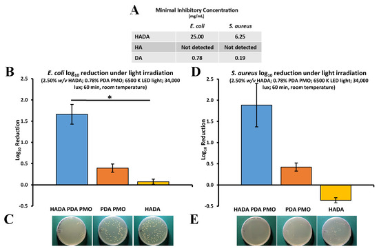 Photocatalytic and Photothermal Antimicrobial Mussel