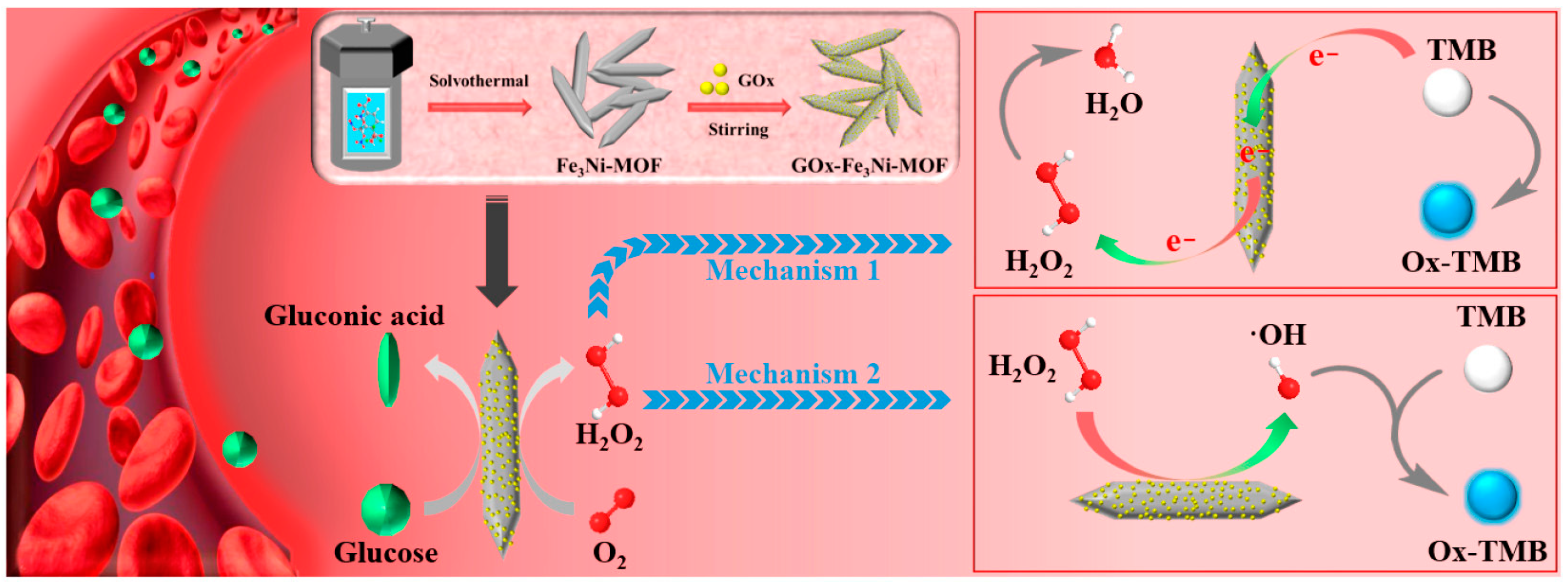 Ijms 24 13342 g002 Ijms 24 13342 g002