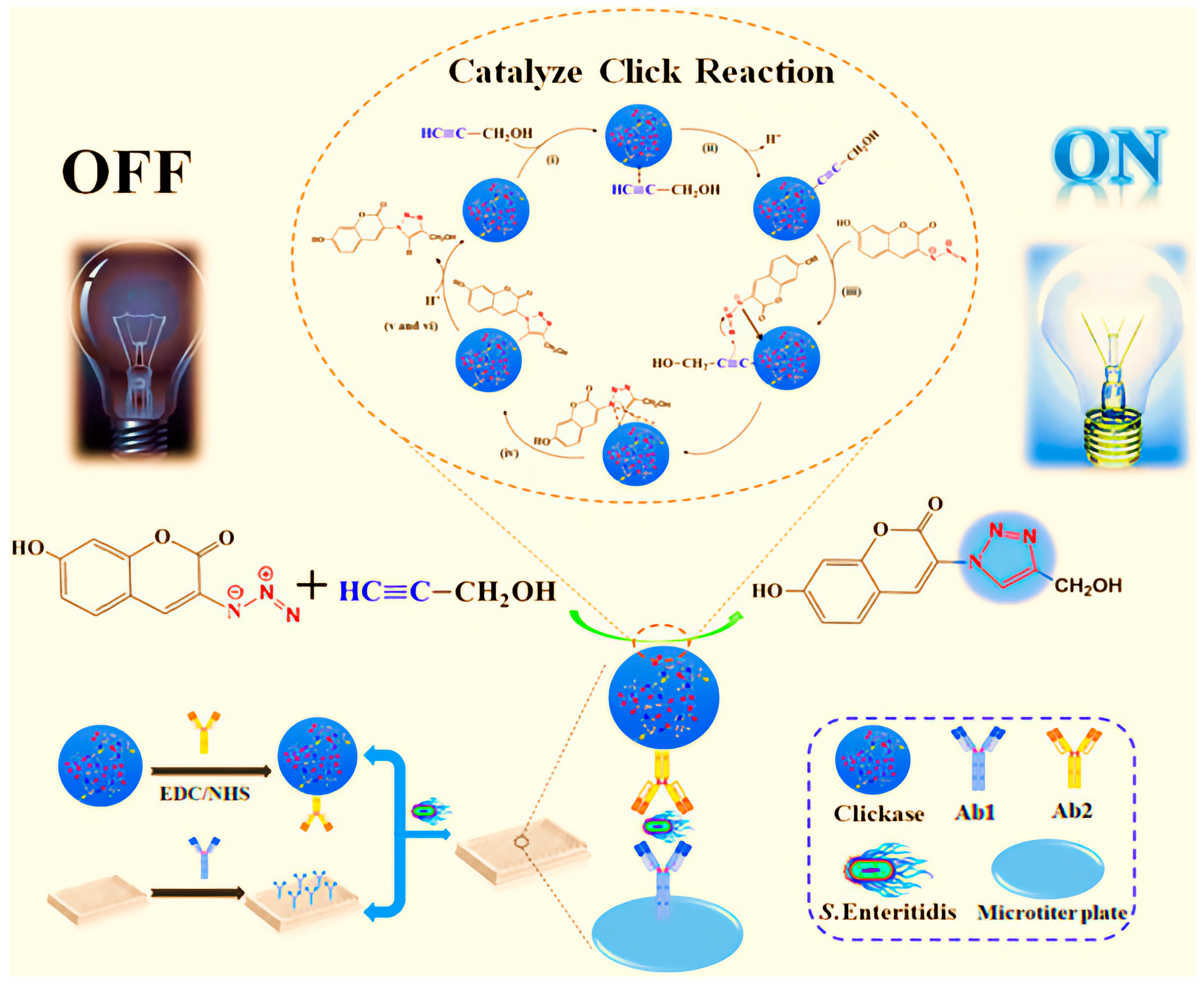 Ijms 24 13342 g004 Ijms 24 13342 g004